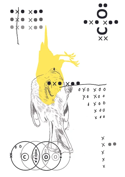 The_Most_Sensitive_Of_Species_web.jpg