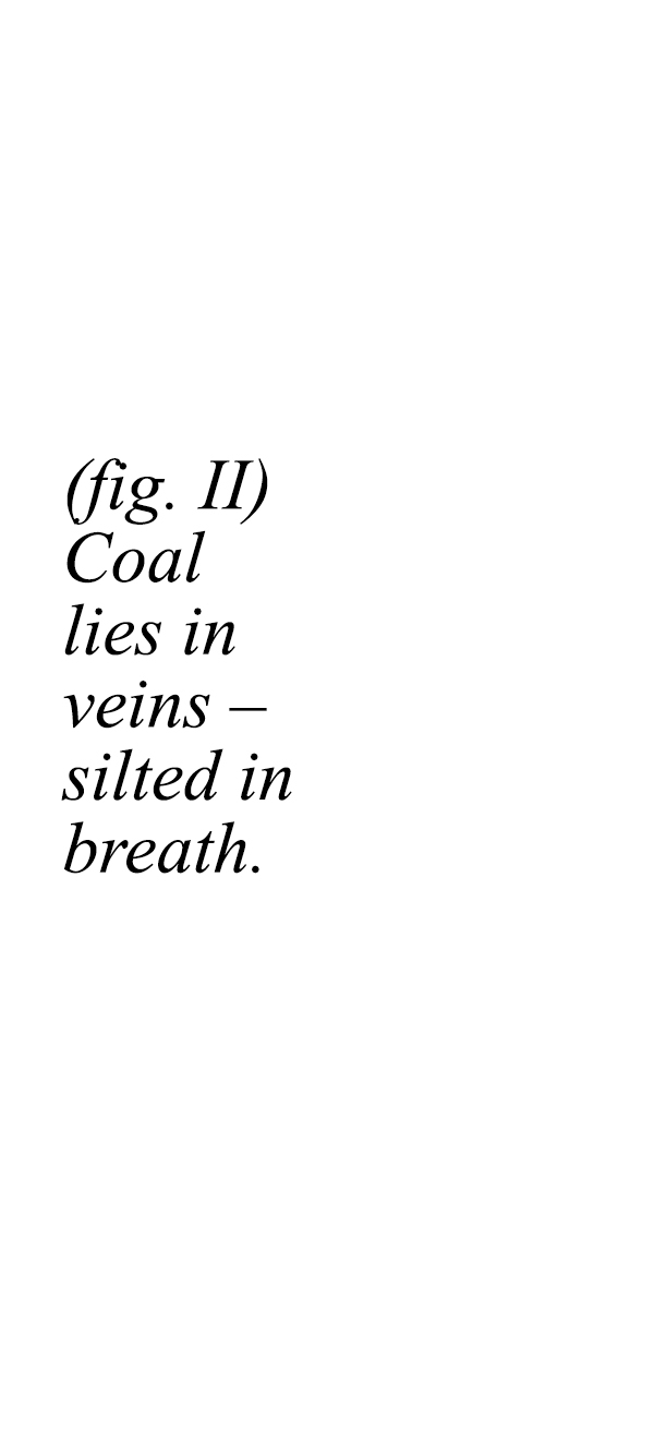 fig2.jpg
