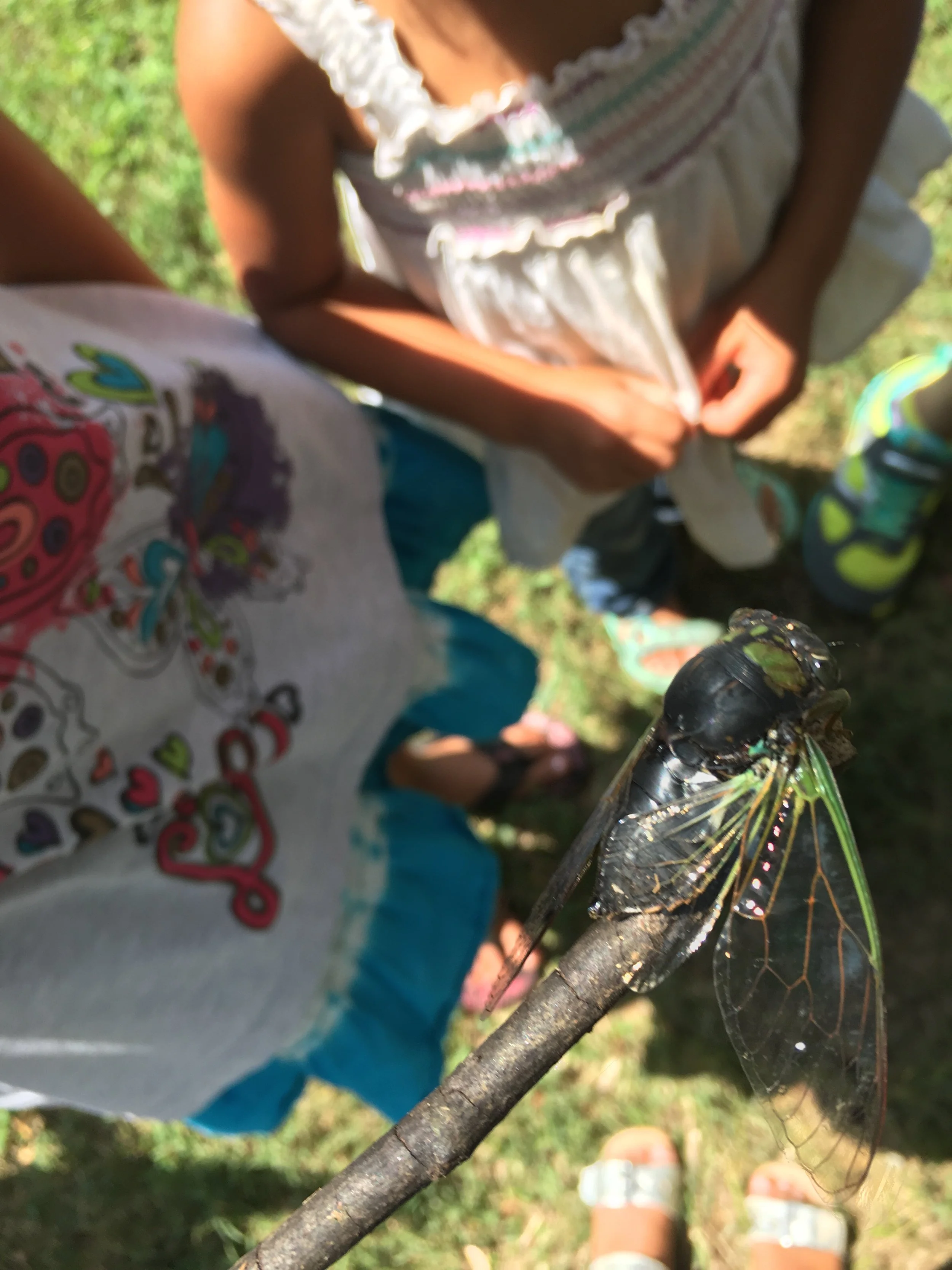 Respect for nature and child-led exploration are key parts of our program. 