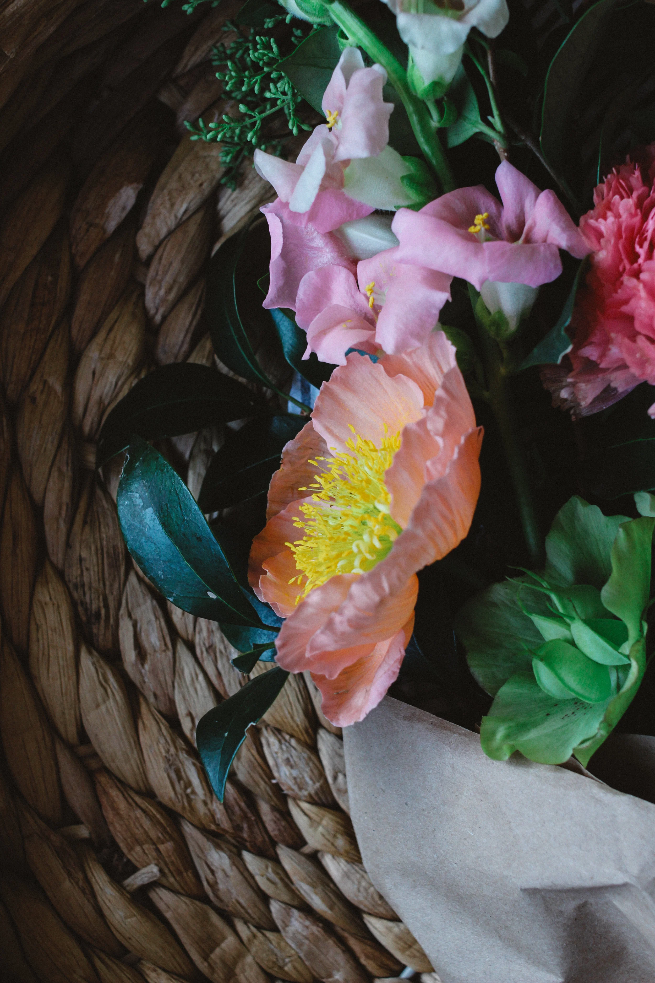 FERN mothers day final-10.jpg