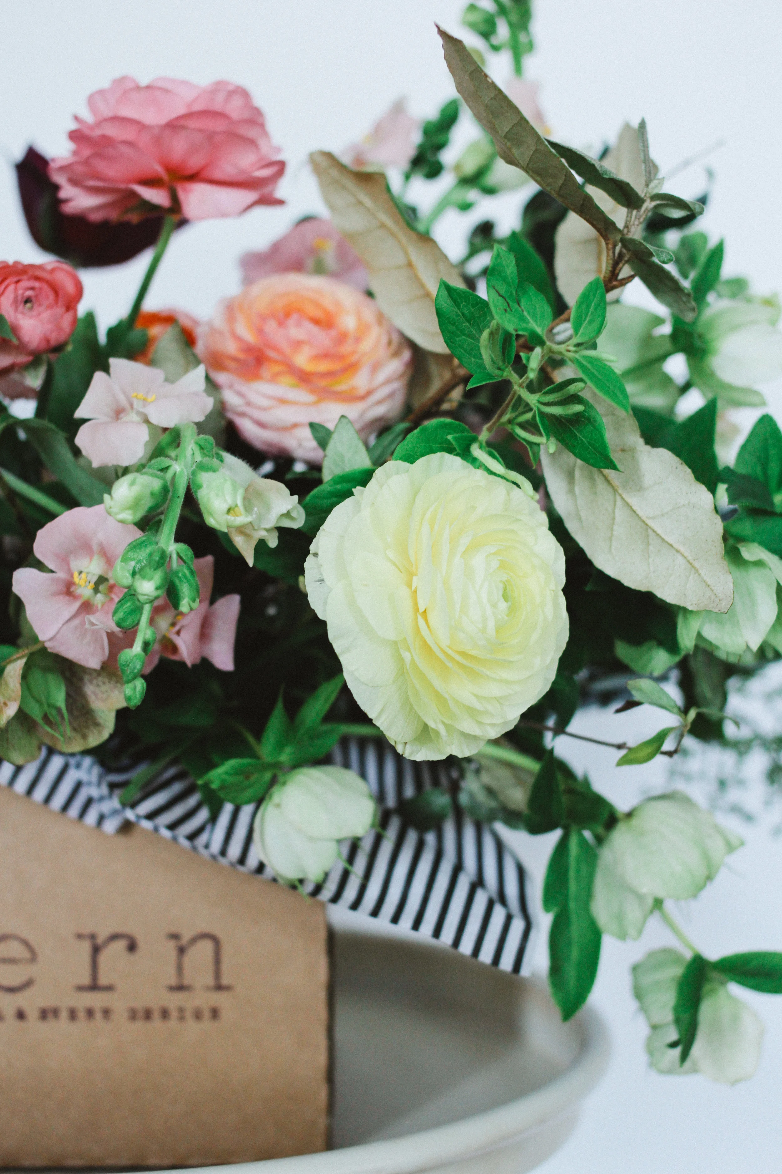 FERN mothers day final-38.jpg