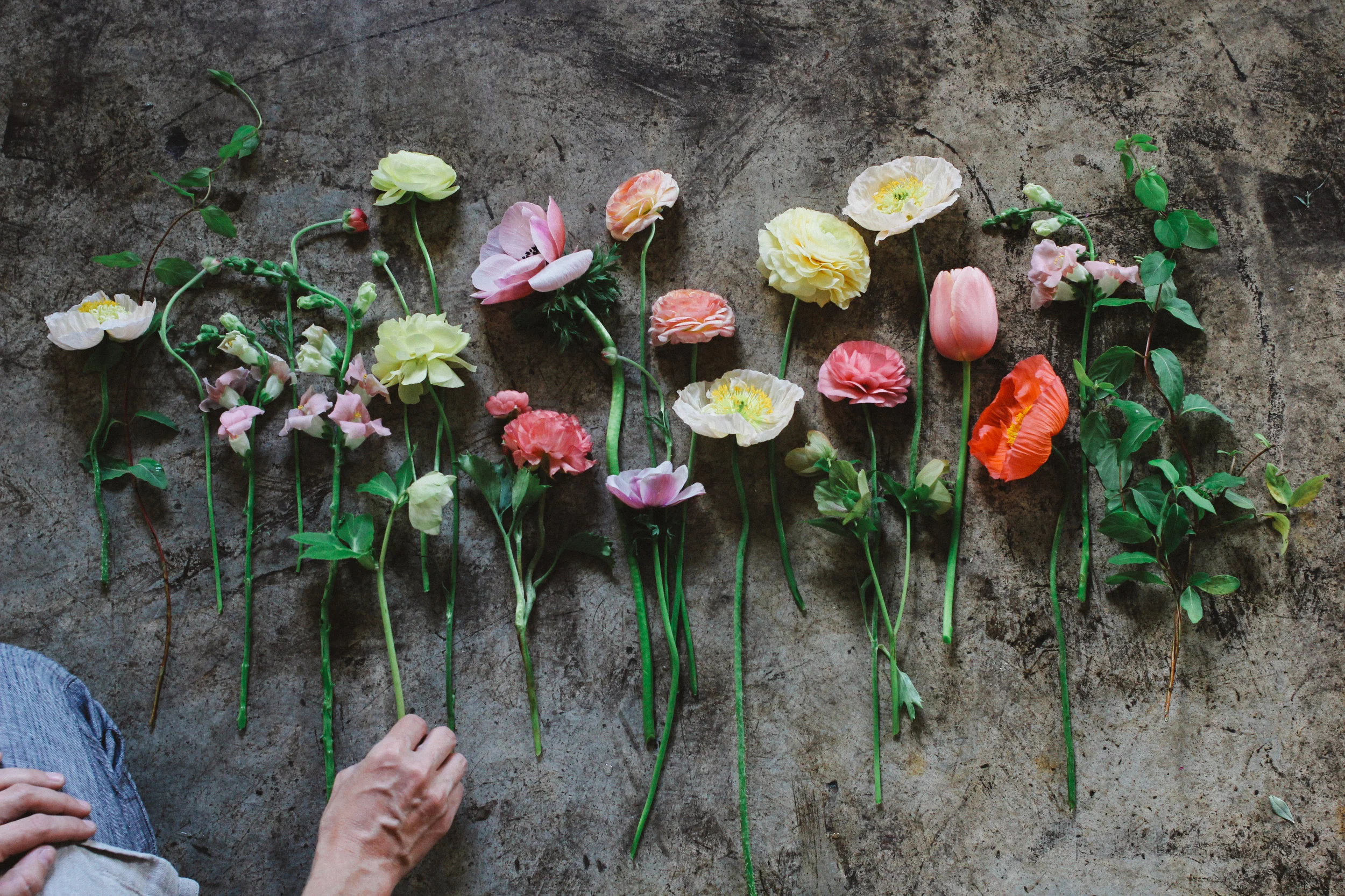 FERN mothers day final-74.jpg