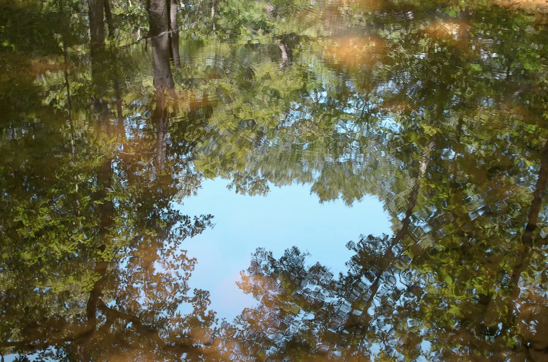 Reflections