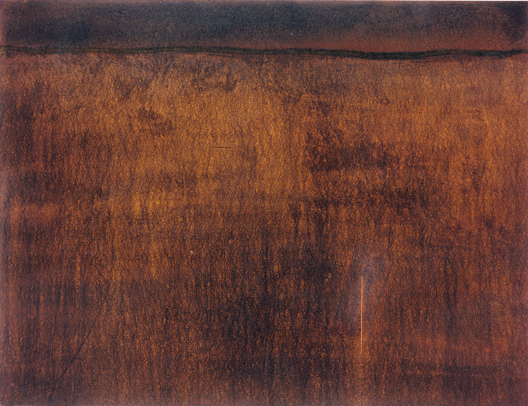 Sense títol, pintura sobre tela, 90 x 114 centímetres 1993
