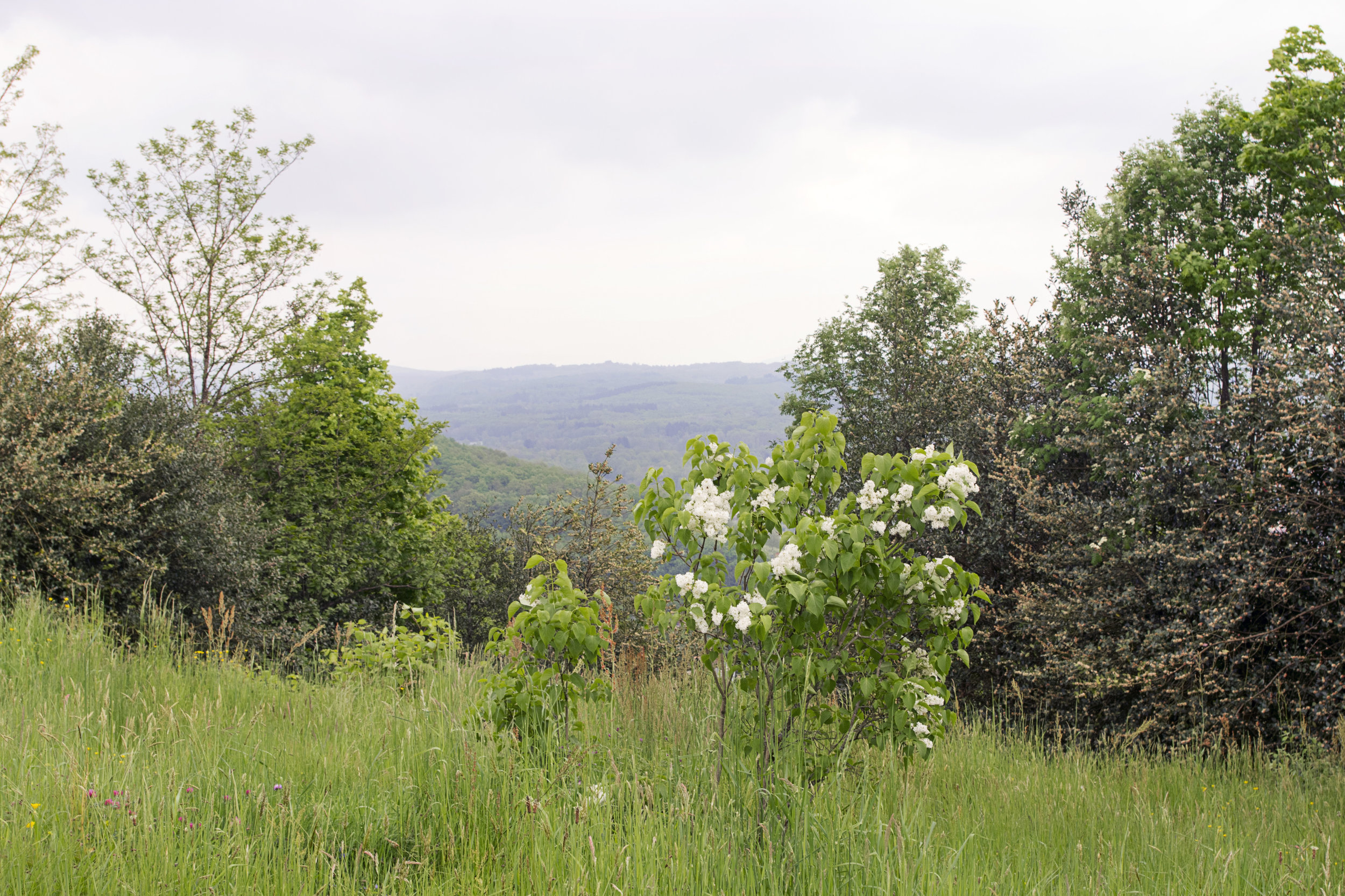 La Maison de Chapelain_Hage_02.jpg