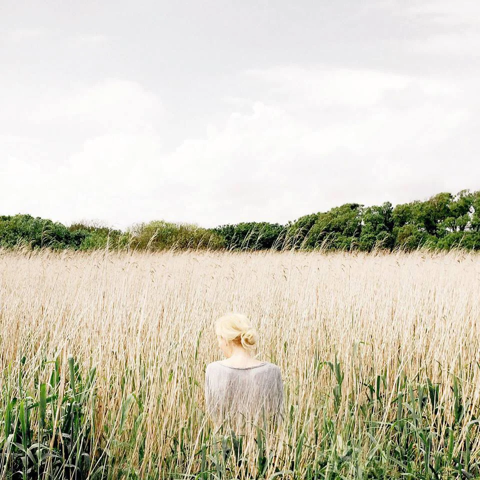 SOMETHINGOFNOTHING_WHEATFIELD