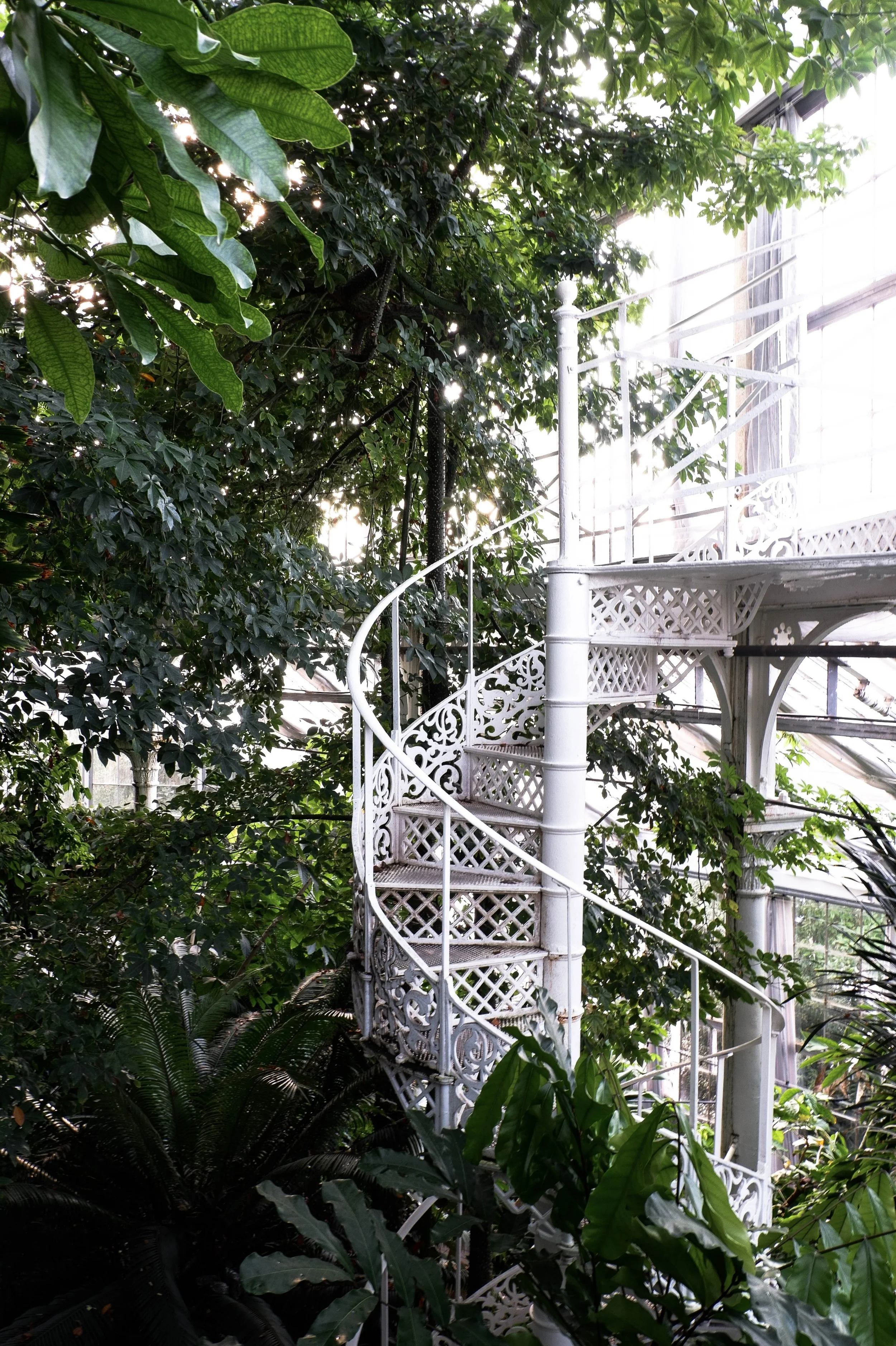 SOMETHINGOFNOTHING_BOTANICALGARDENS