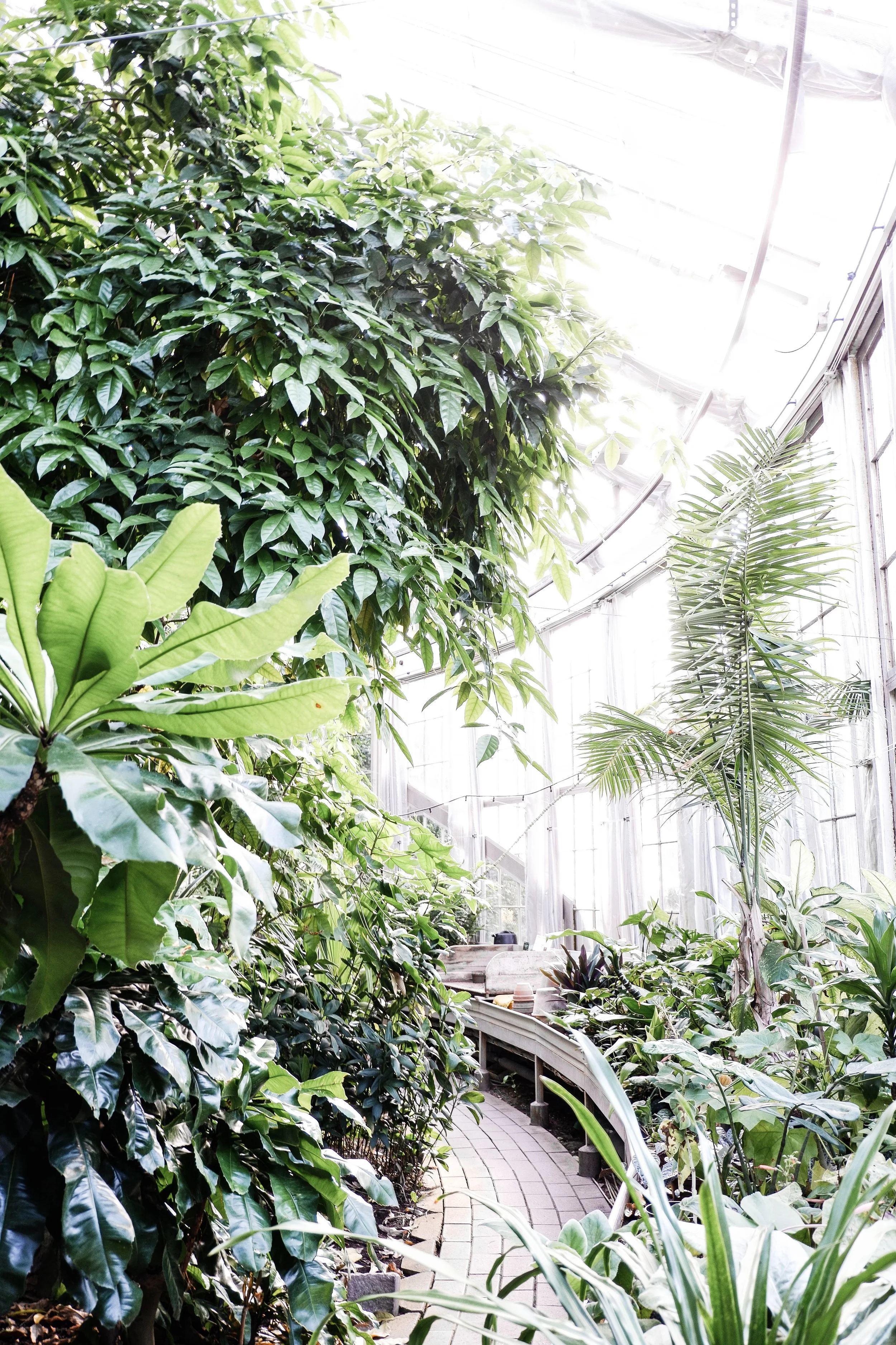 SOMETHINGOFNOTHING_BOTANICALGARDENS