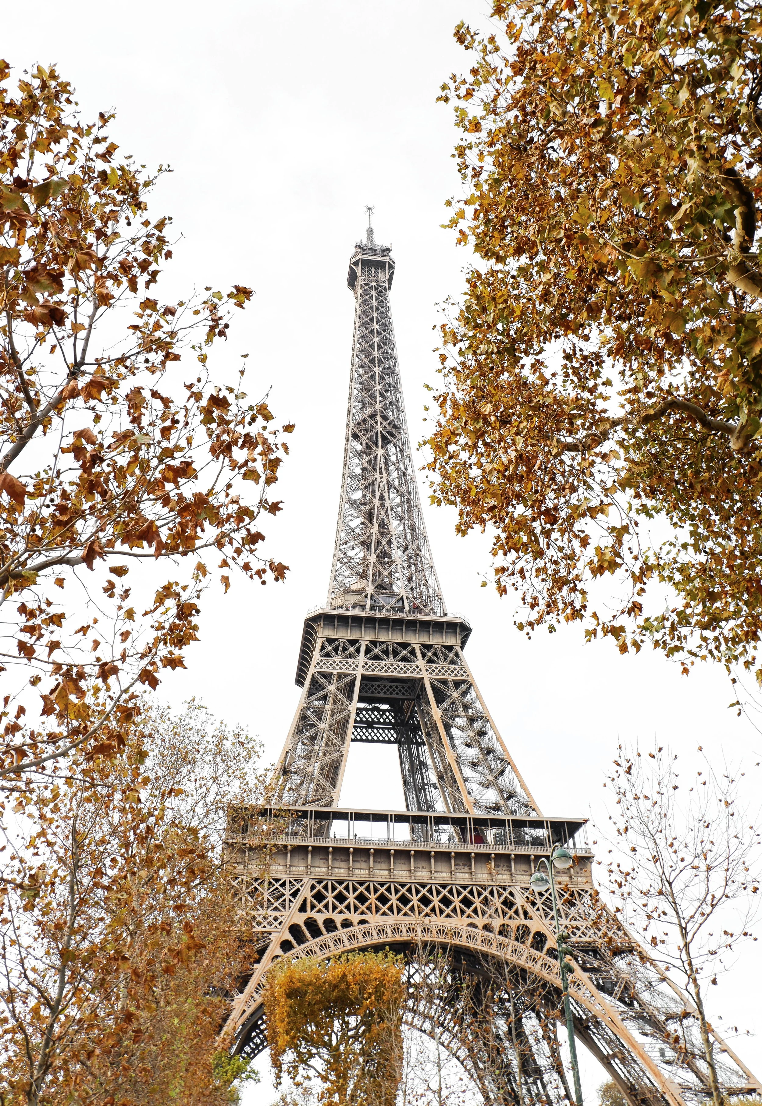 SOMETHINGOFNOTHING_EIFFELTOWER