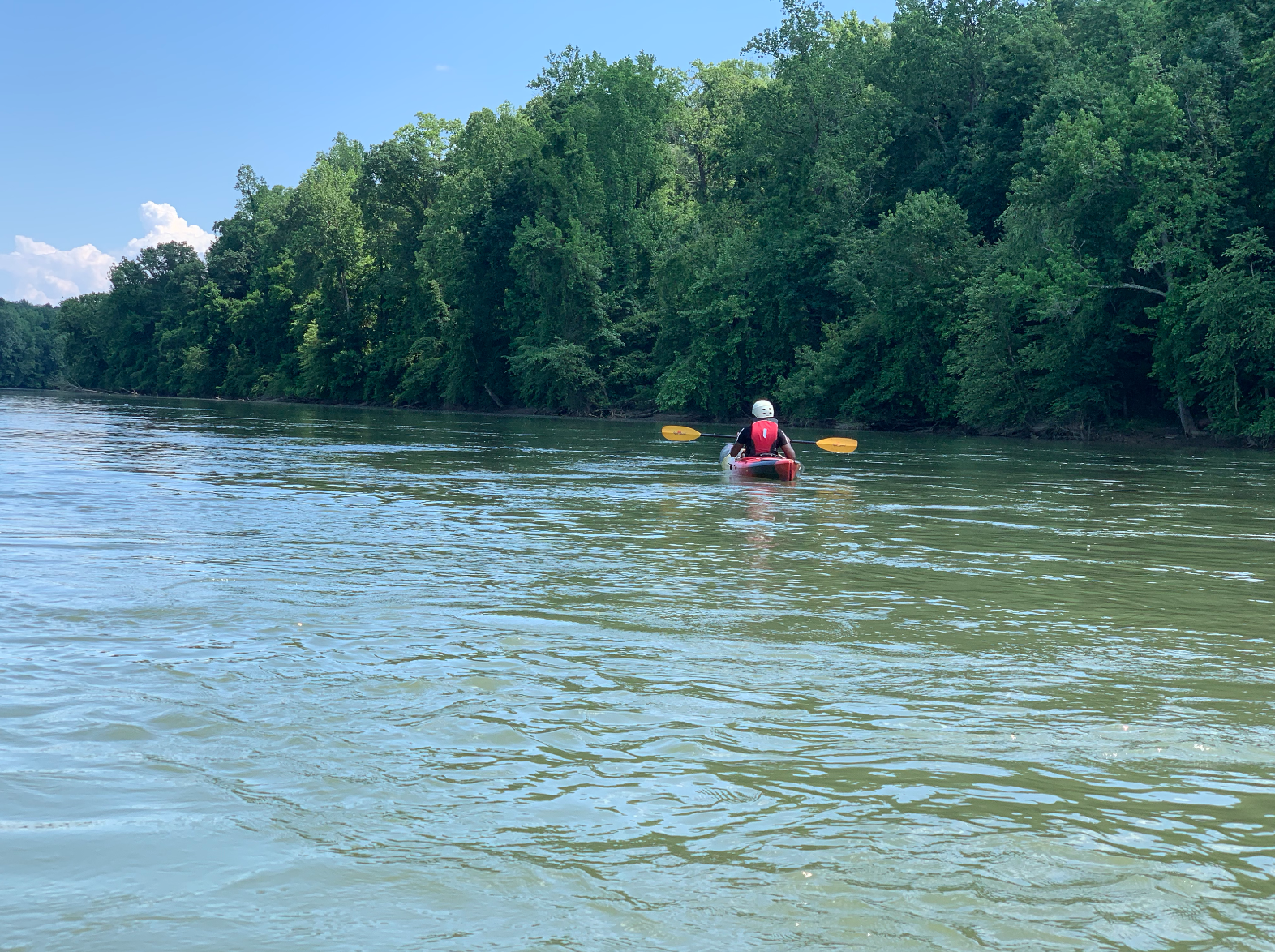 Cultural Happenings: May 2019