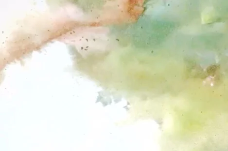 Cultural Happenings: The Color Run