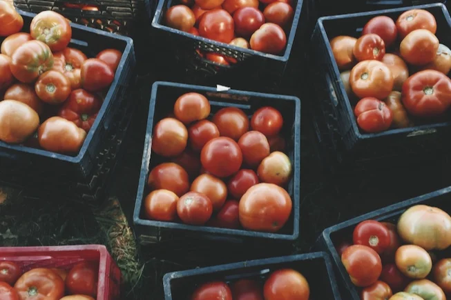 Engaged Employer: Fruit Farm Volunteering