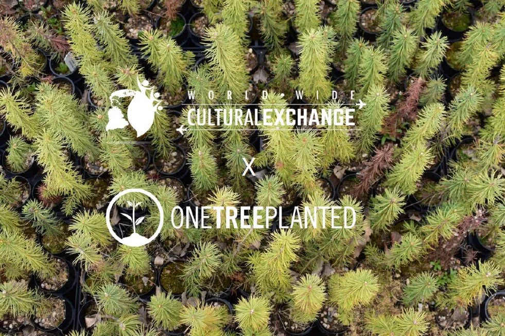 WWCE X One Tree Planted