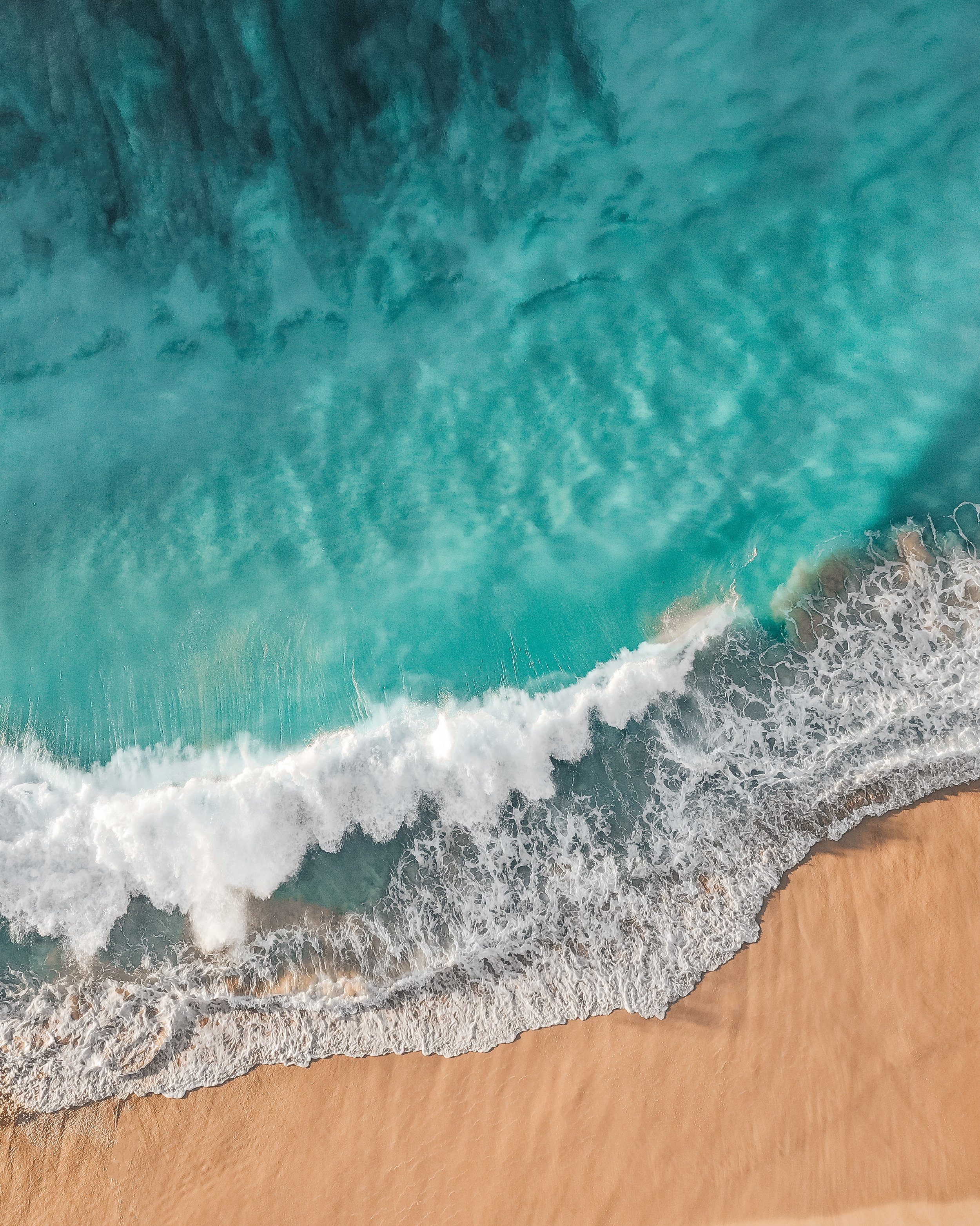 June 2022 Newsletter