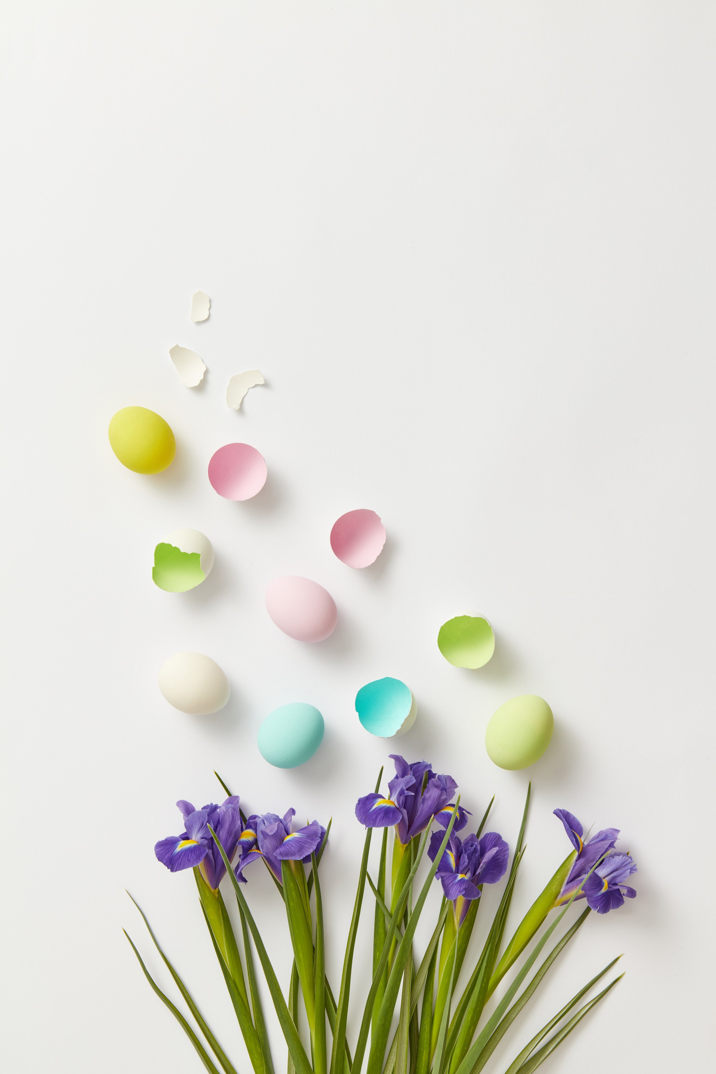 April 2022 Newsletter