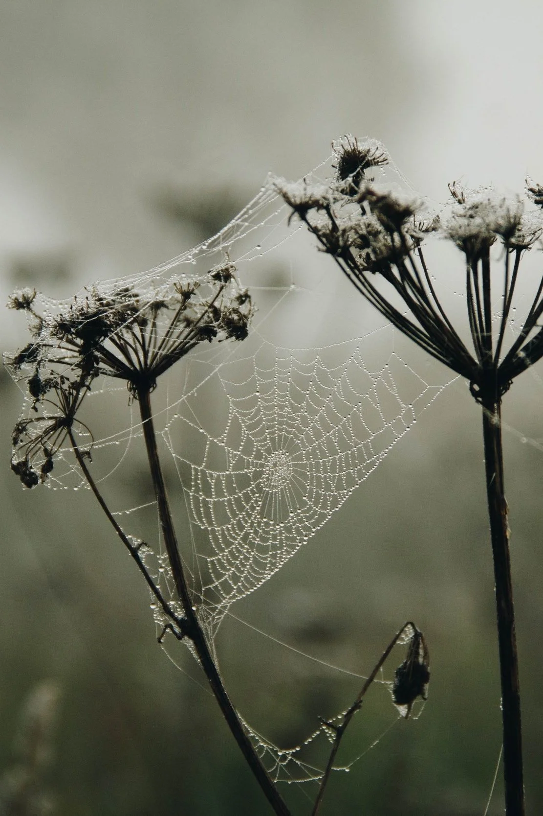 October 2021 Newsletter