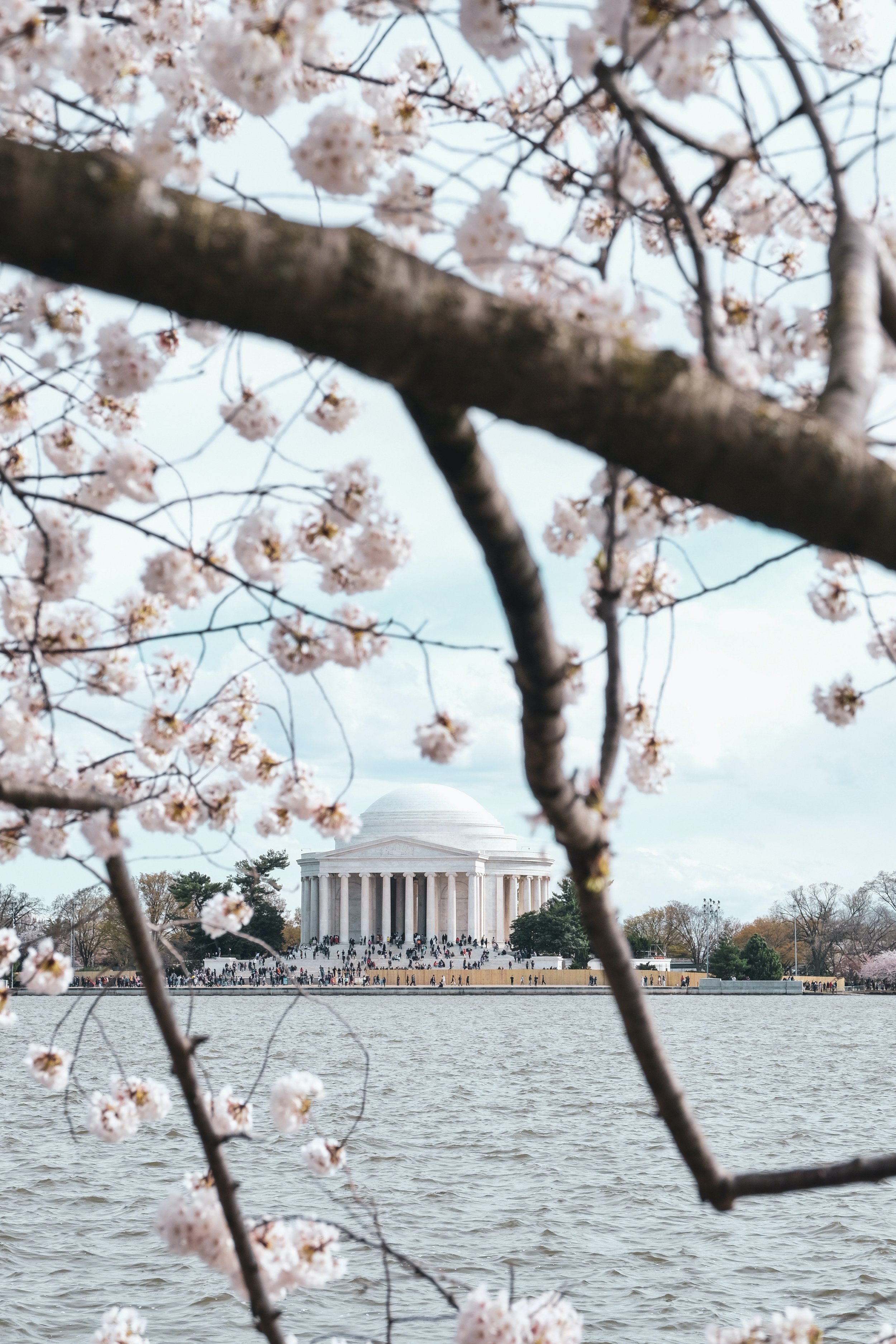 April 2021 Newsletter