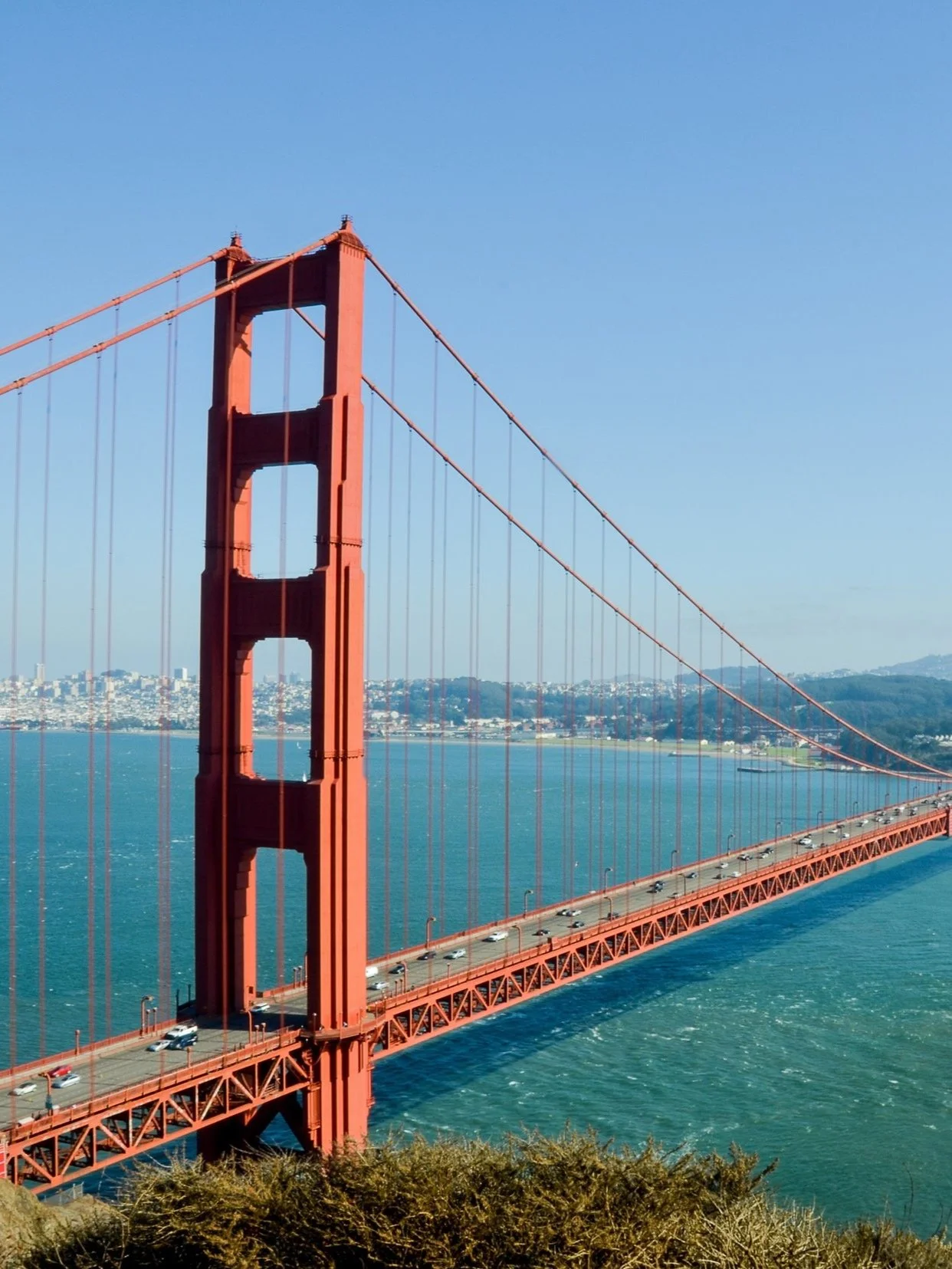 Introducing BridgeUSA