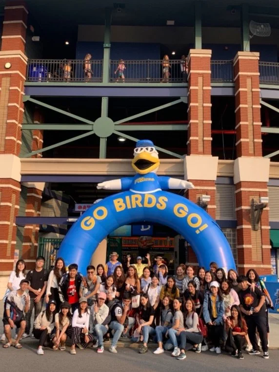 Cultural Happenings: Pelicans Baseball Game