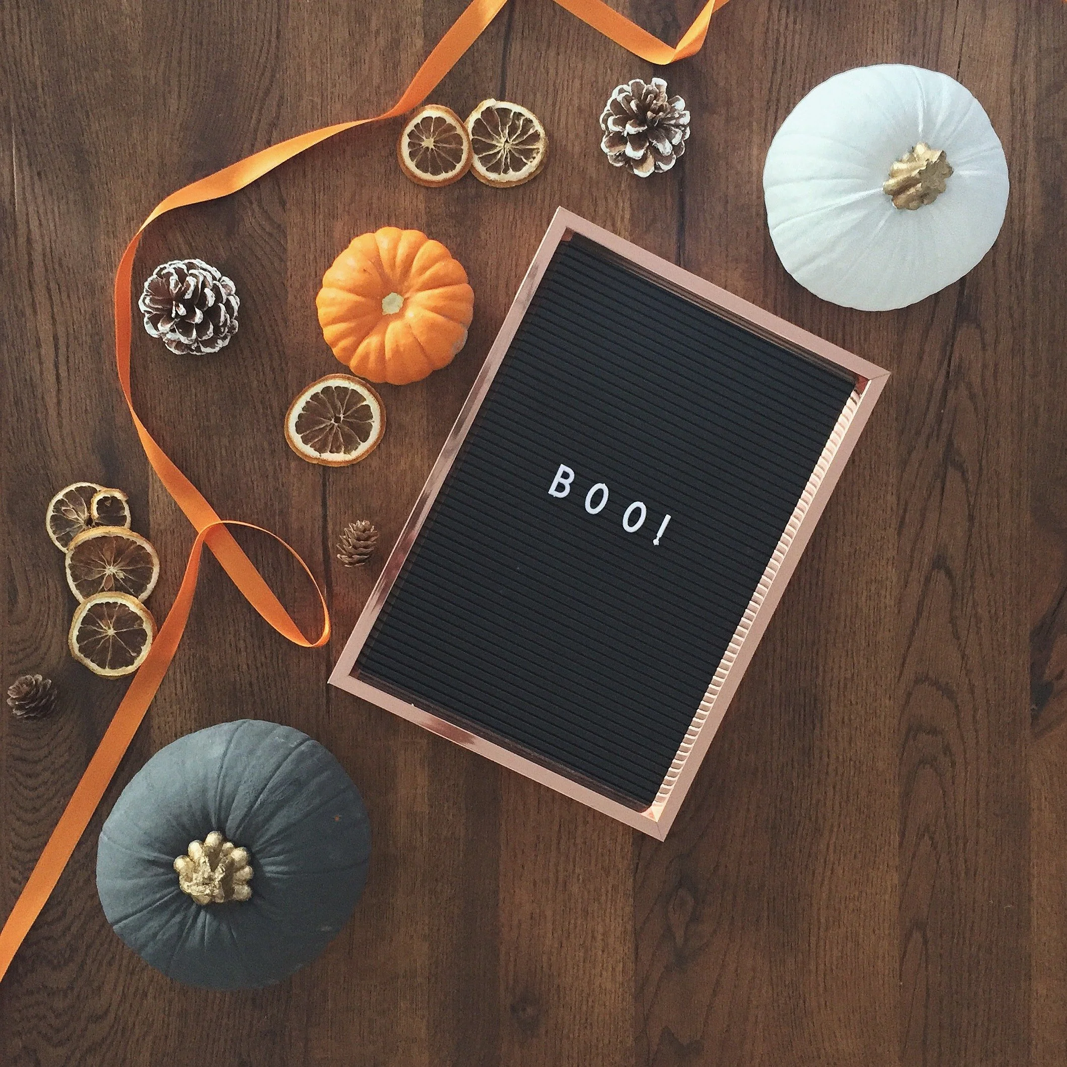 October 2022 Newsletter