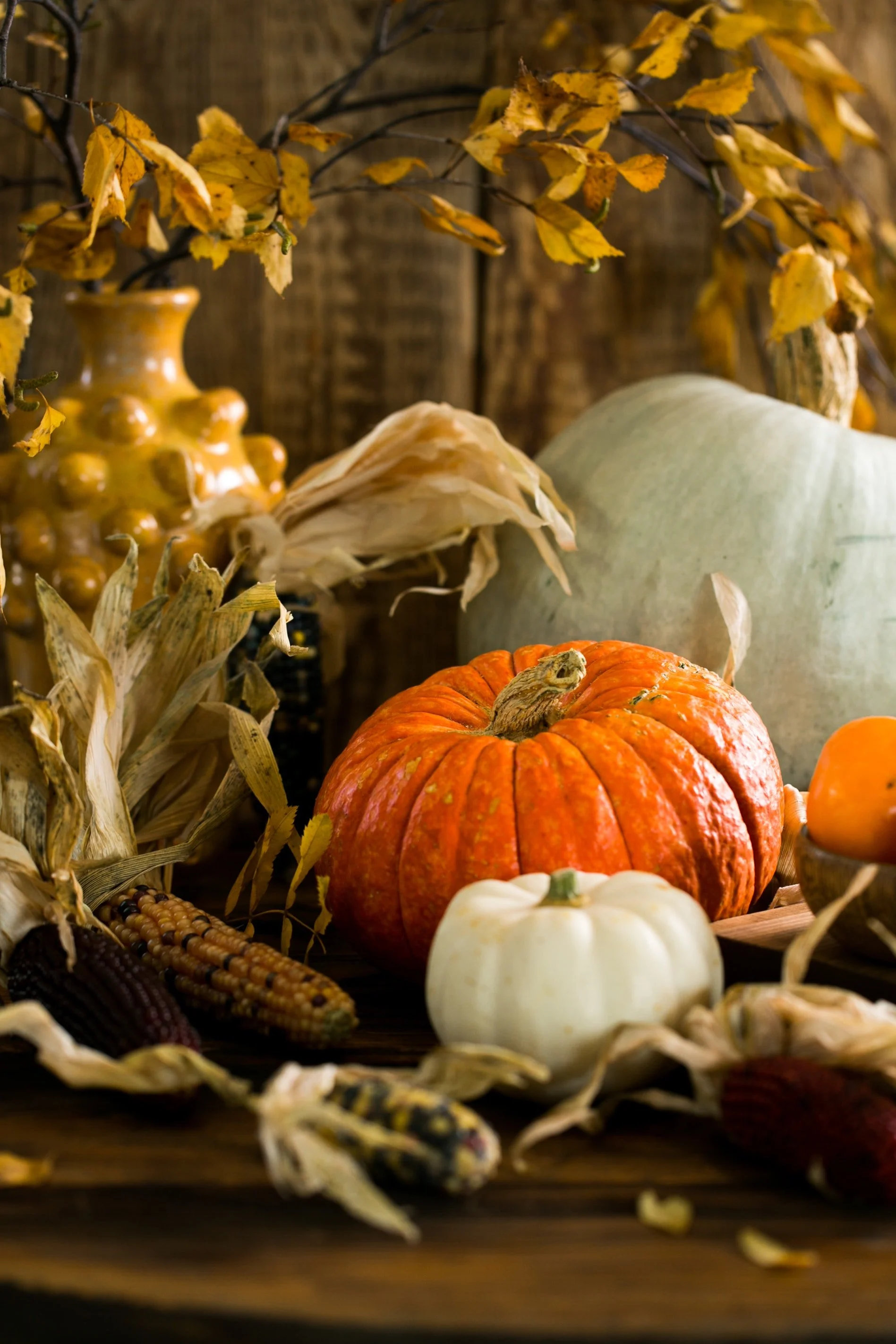 November 2022 Newsletter