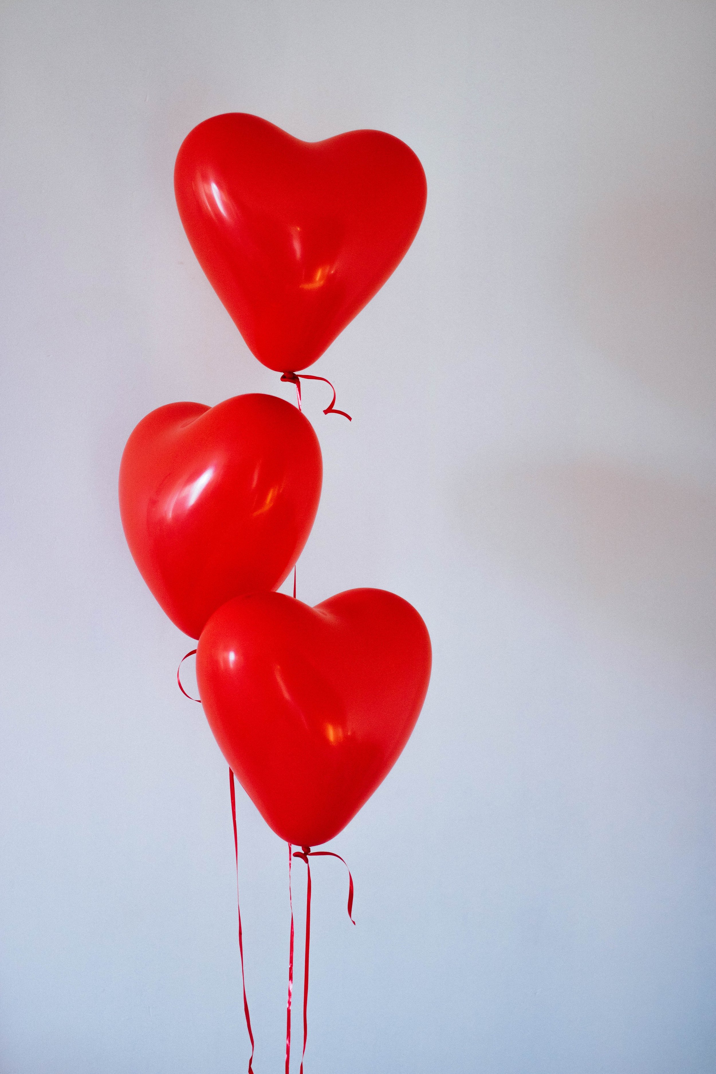 February 2023 Newsletter