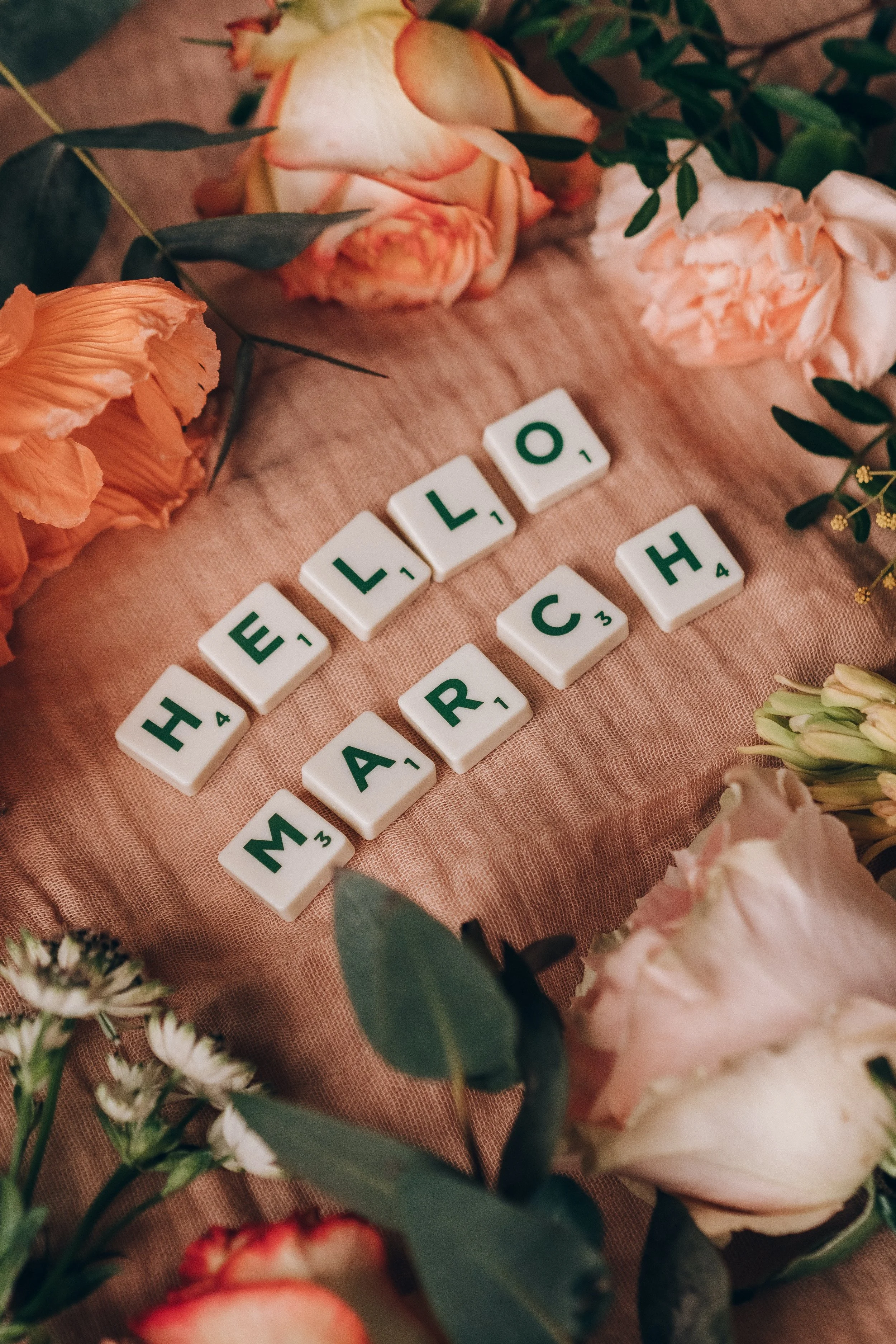 March 2023 Newsletter