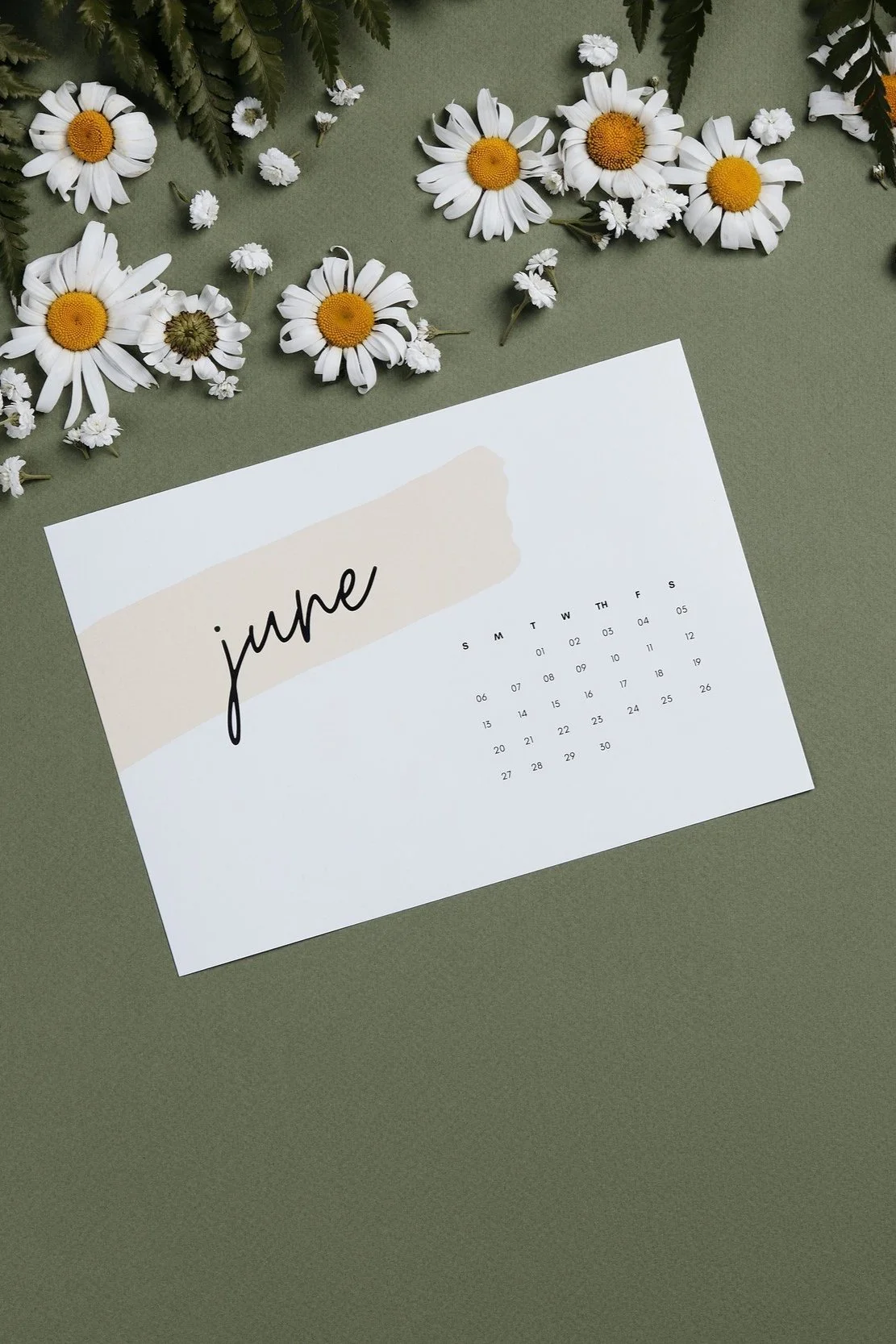 June 2023 Newsletter