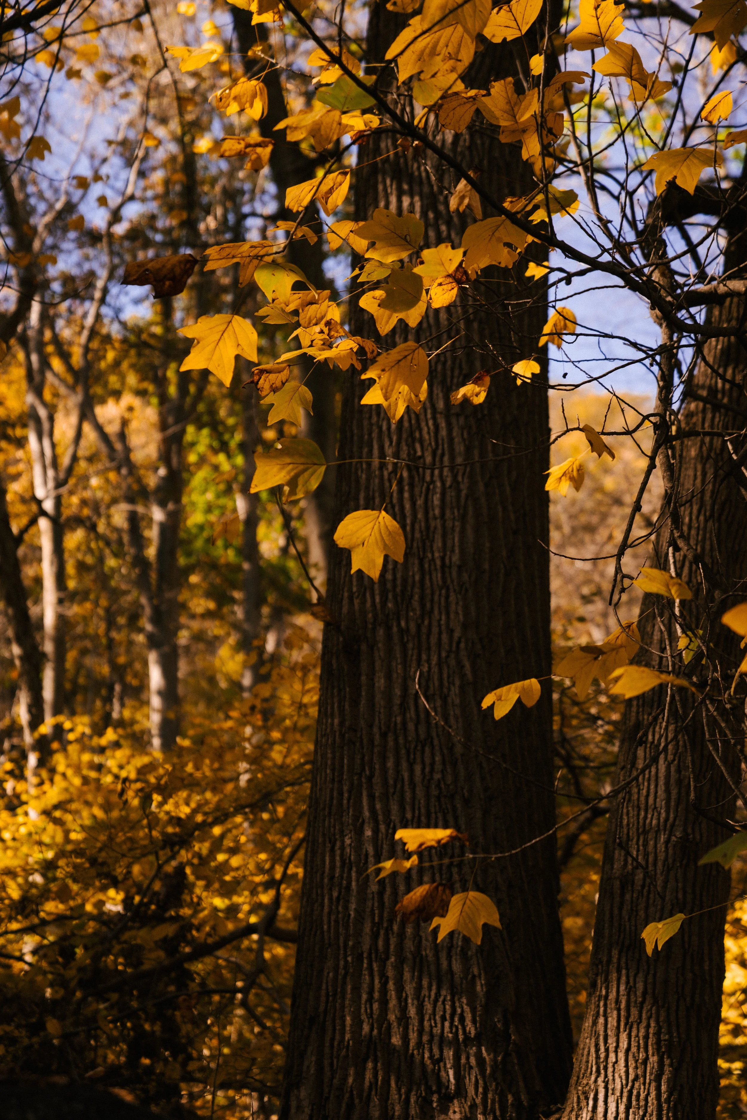 September 2023 Newsletter