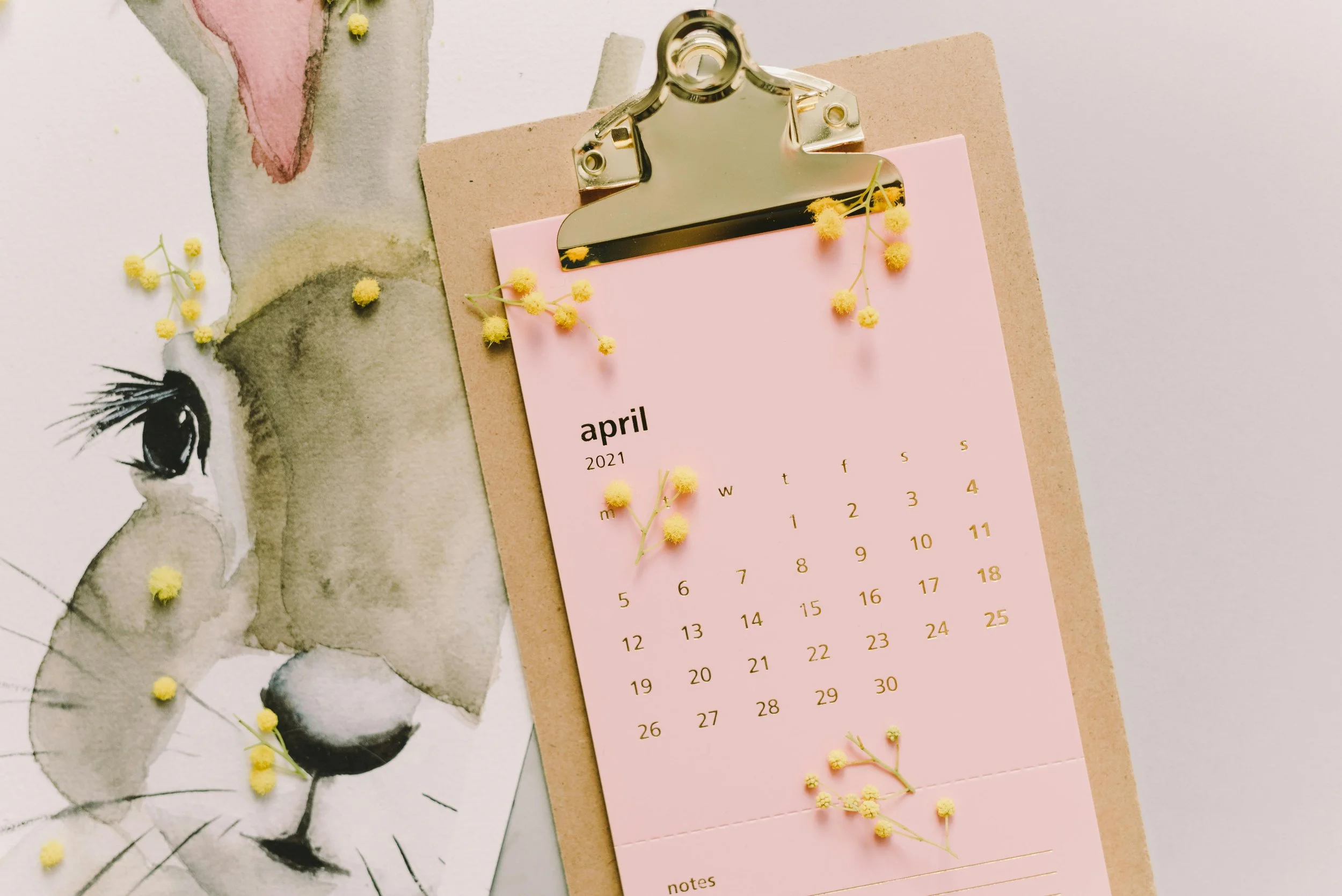 April 2024 Newsletter