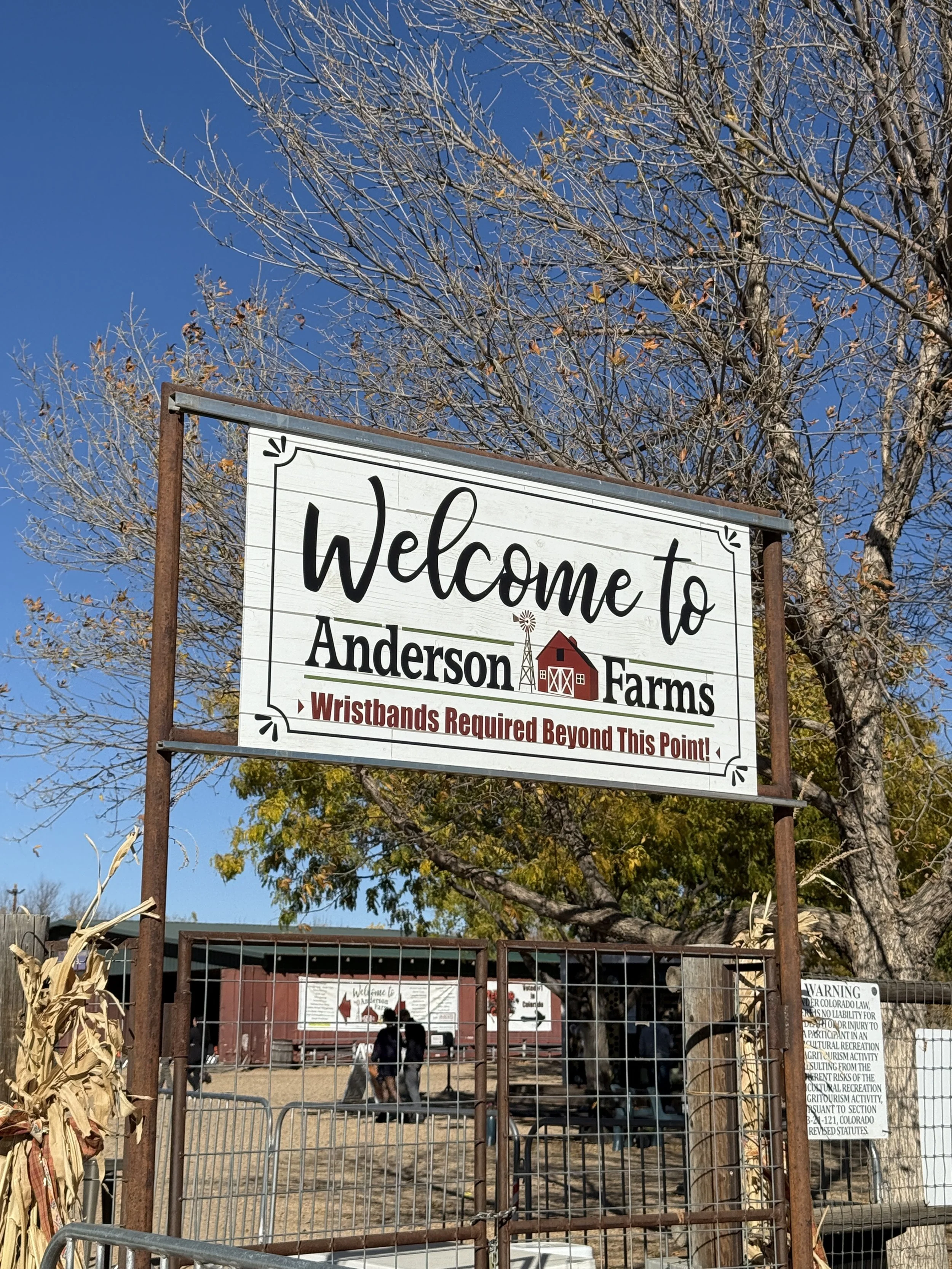 Cultural Happenings: Pumpkin Patch