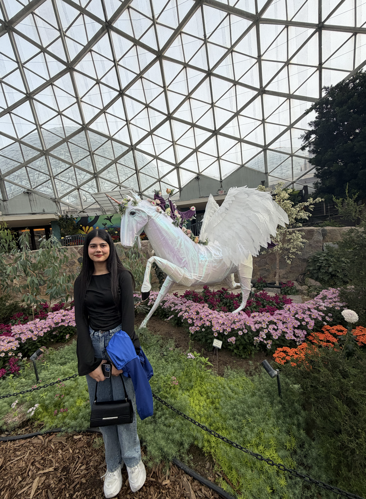 Cultural Happenings: Custard and Colorful Flora