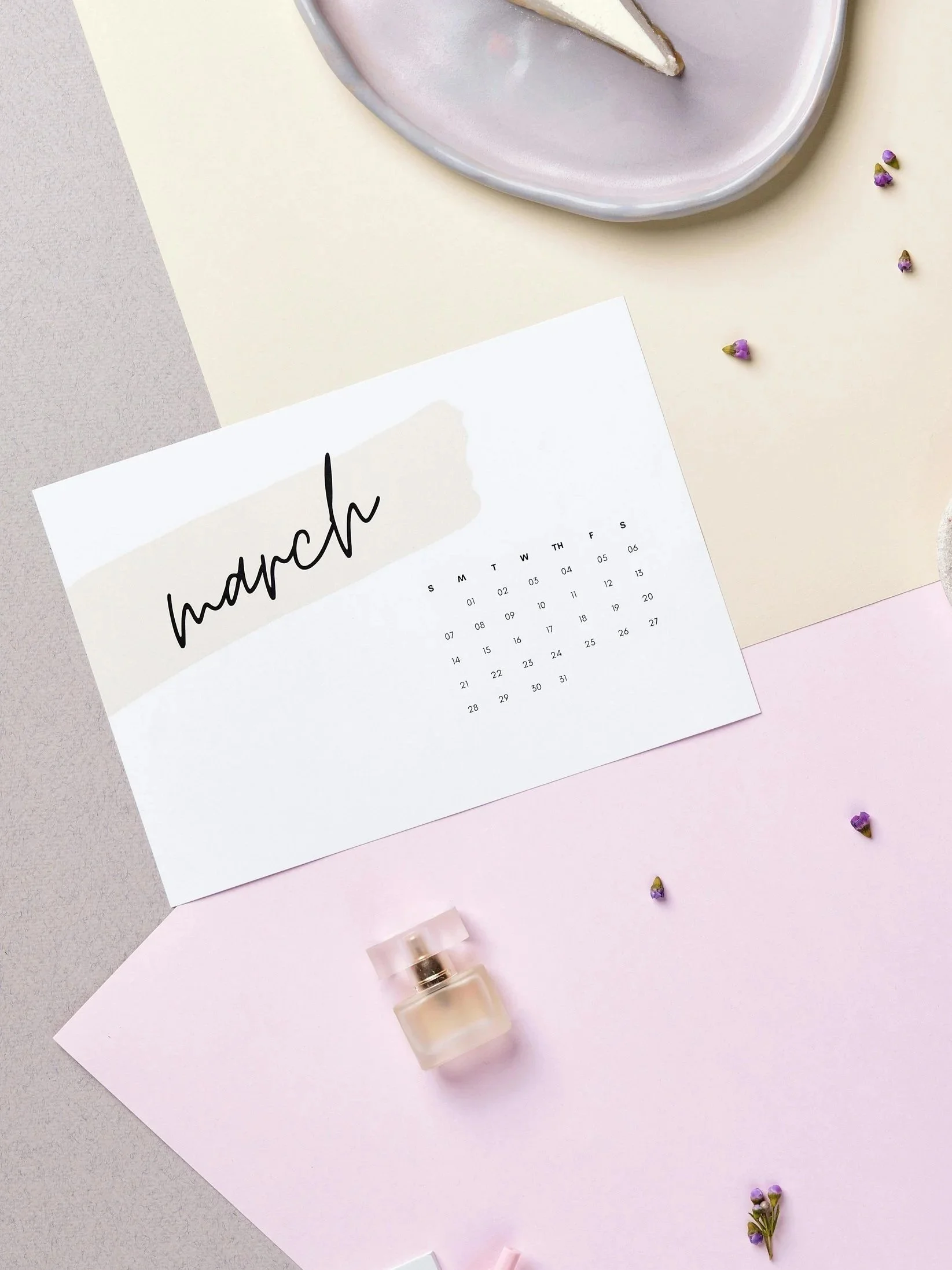 March 2026 Newsletter