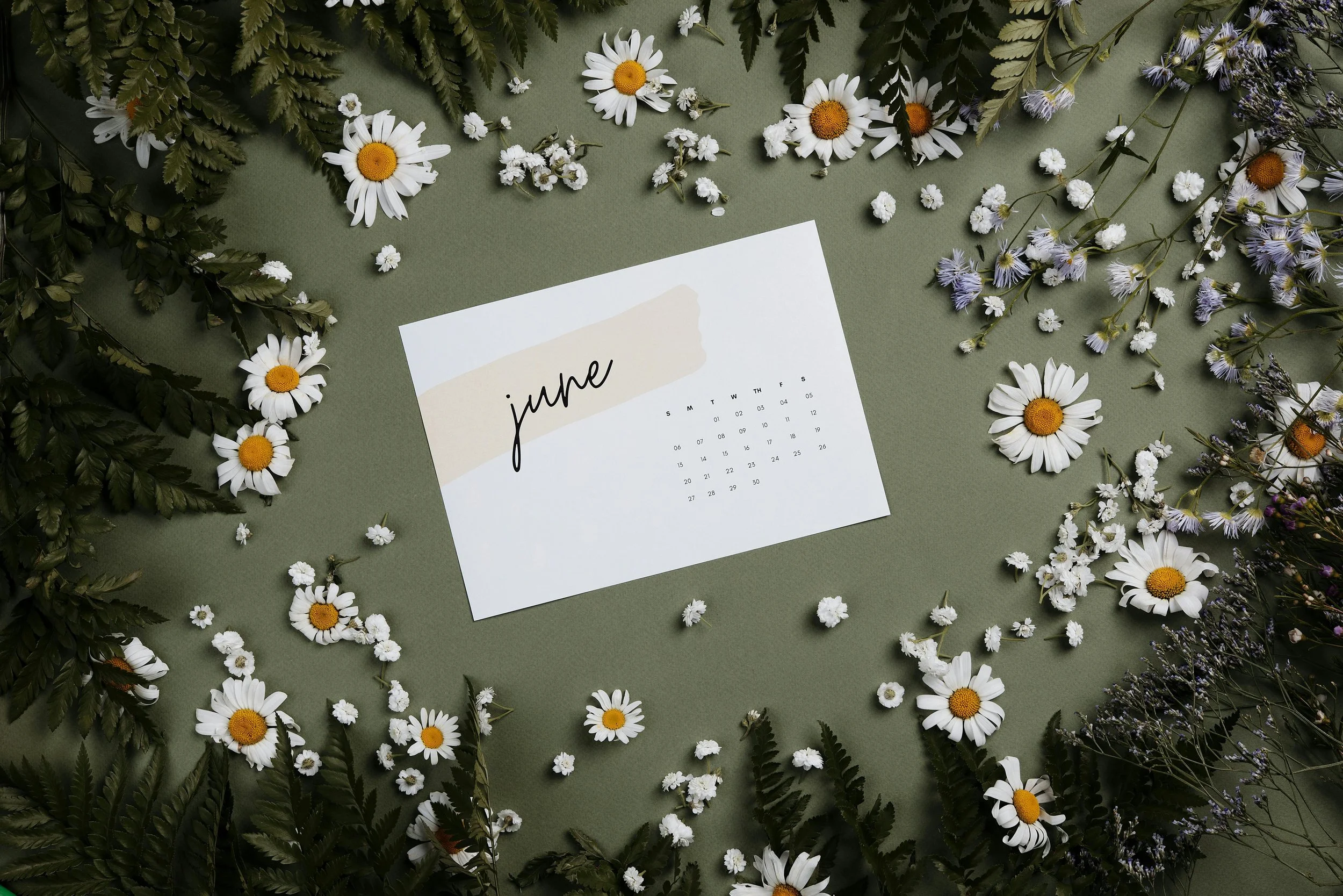 June 2026 Newsletter