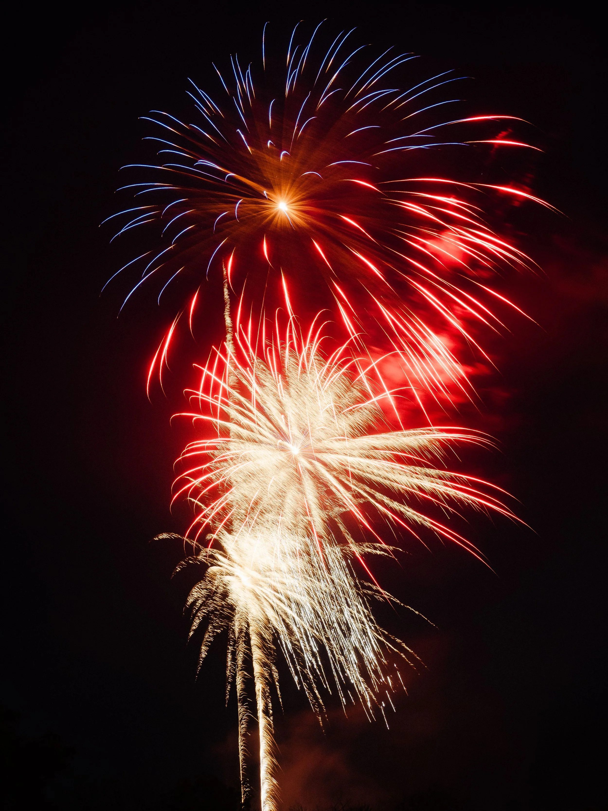July 2026 Newsletter