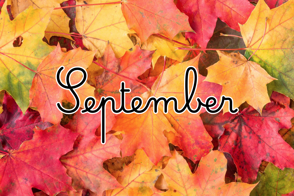 September 2026 Newsletter