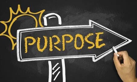 Reality of Purpose