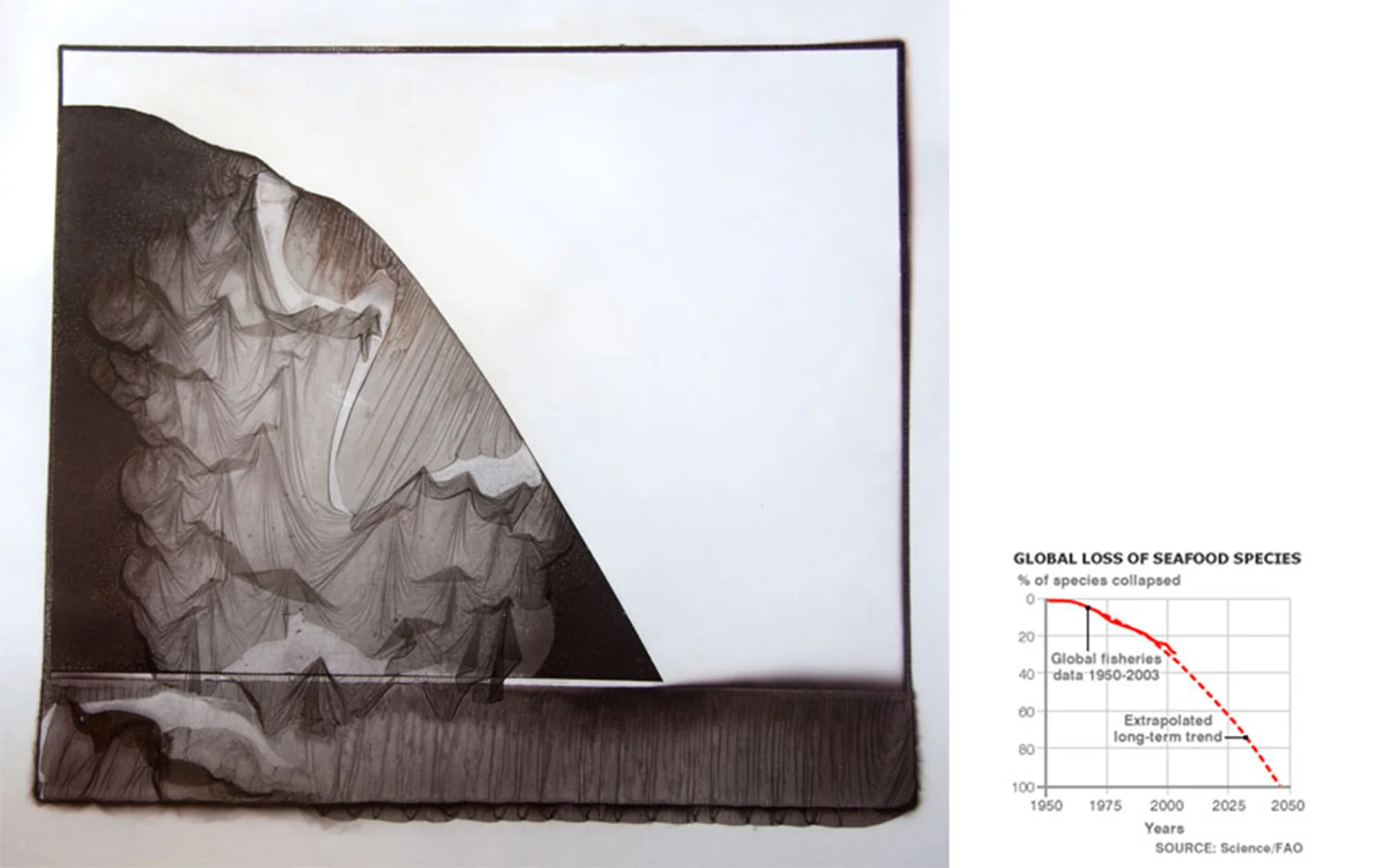 10 - pp-3 - Global loss of seafood species - from the series PROPHETIC LANDSCAPES.jpg