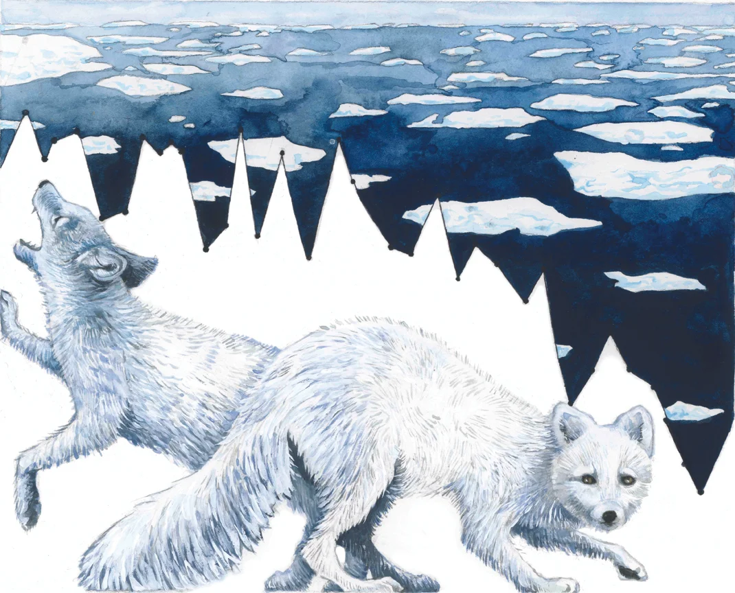 Habitat Degradation_ Arctic Sea Ice.jpg