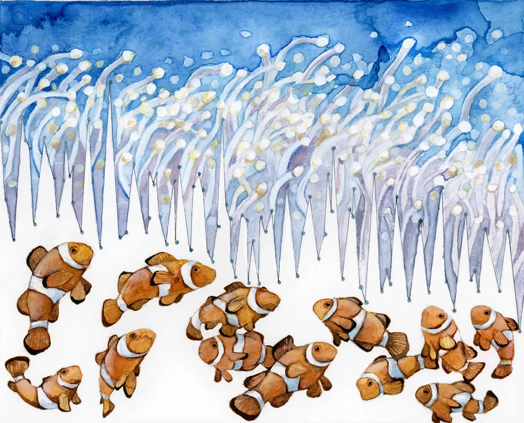 Habitat Degradation_ Ocean Acidification.jpg
