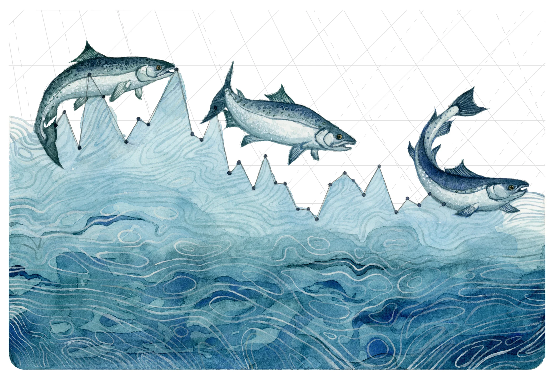 Salmon Population Decline (watercolor).jpg