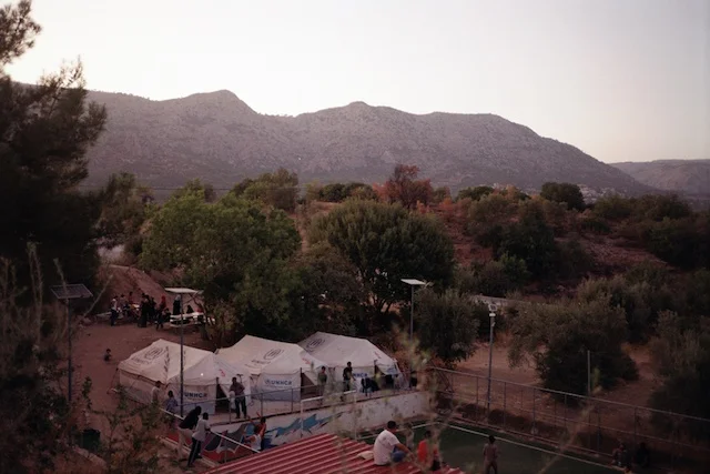 growing in greece image 3.jpg