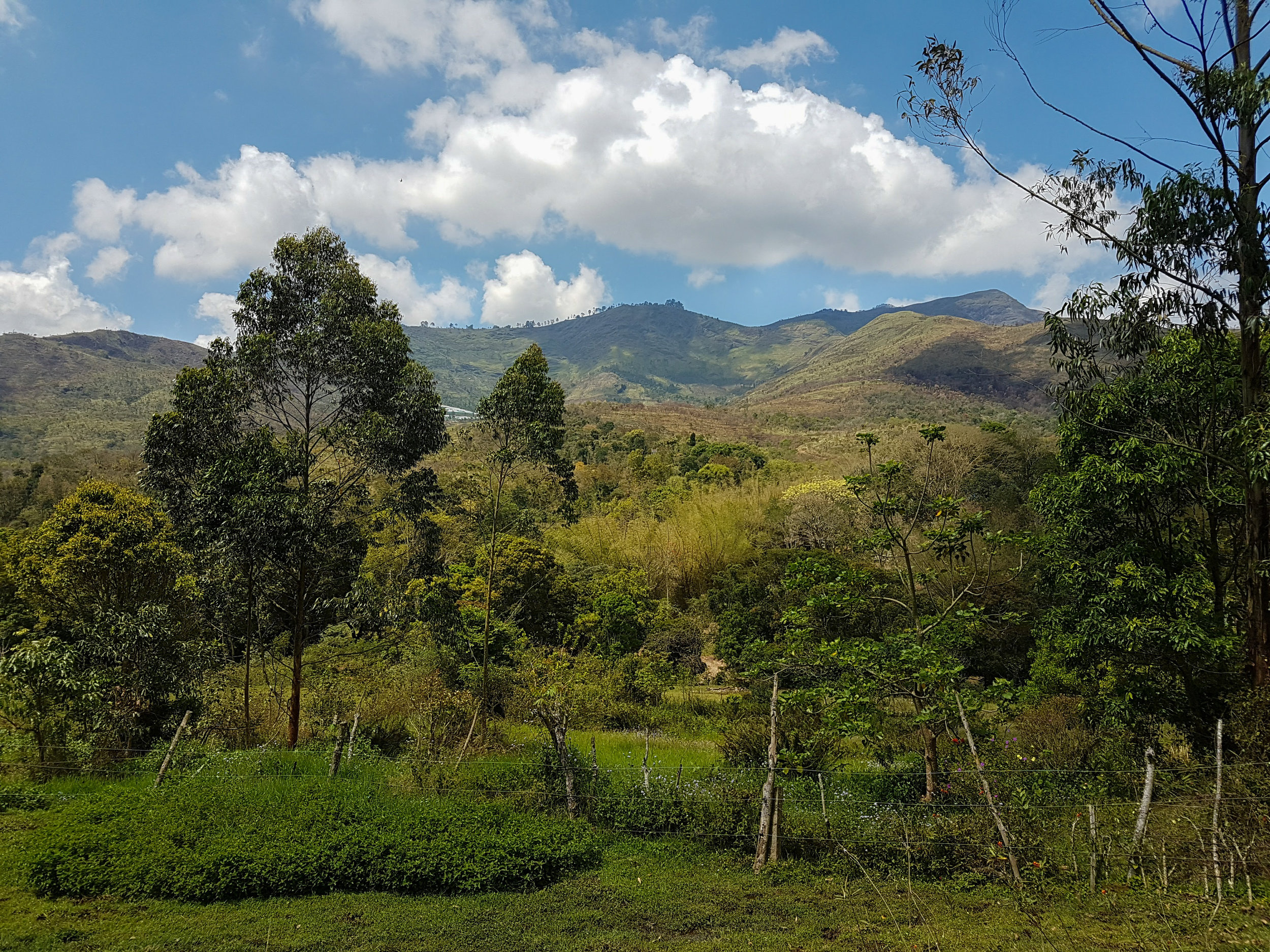 Sholai School, CLOAAT