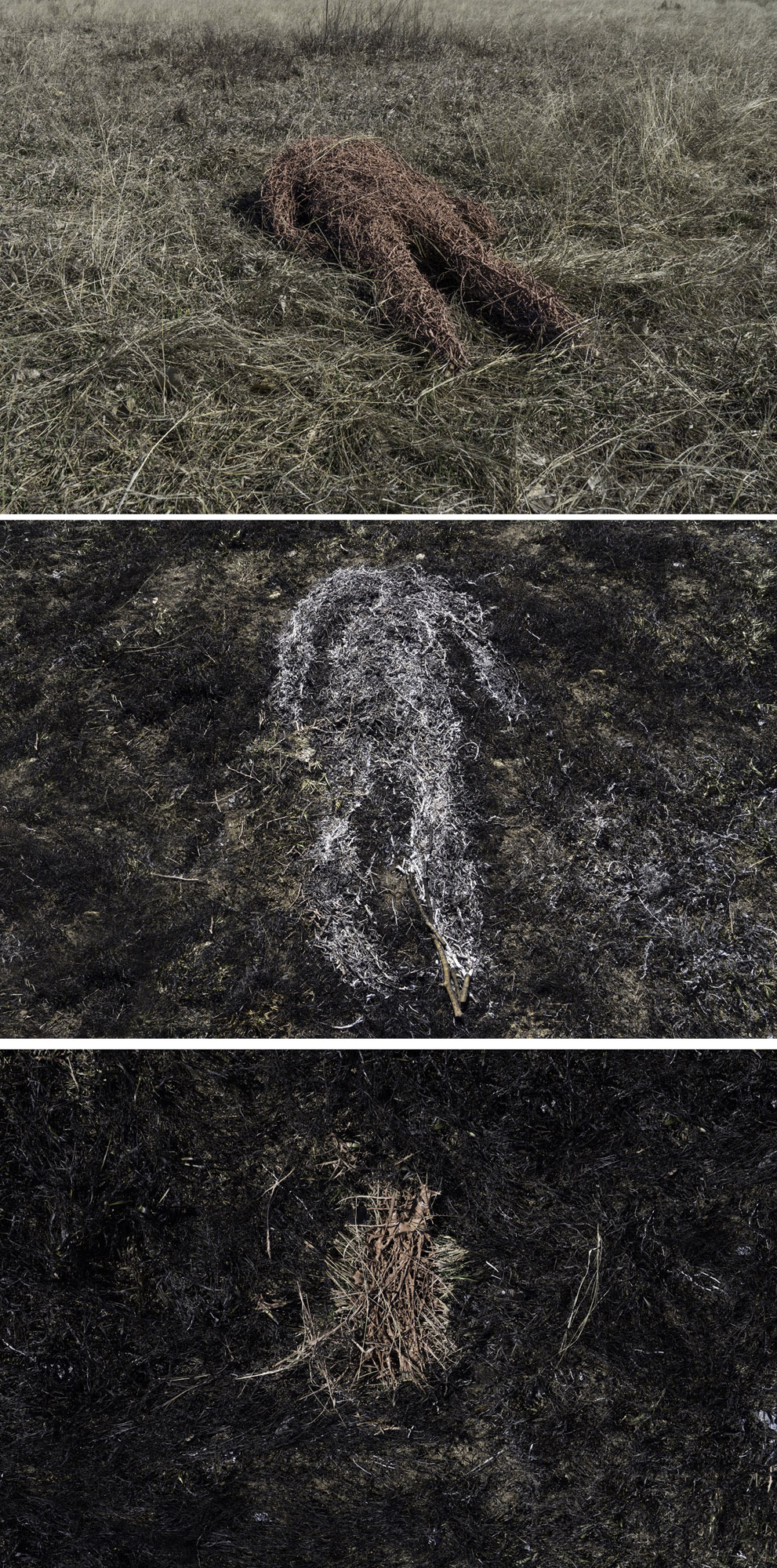 6_existence_andits_parallel.jpg