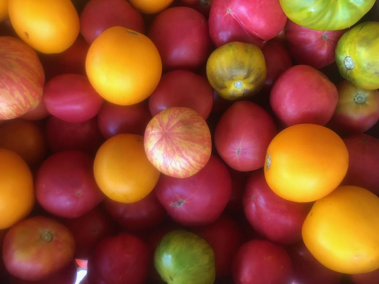 Psst- Hey.. Need a CSA?
