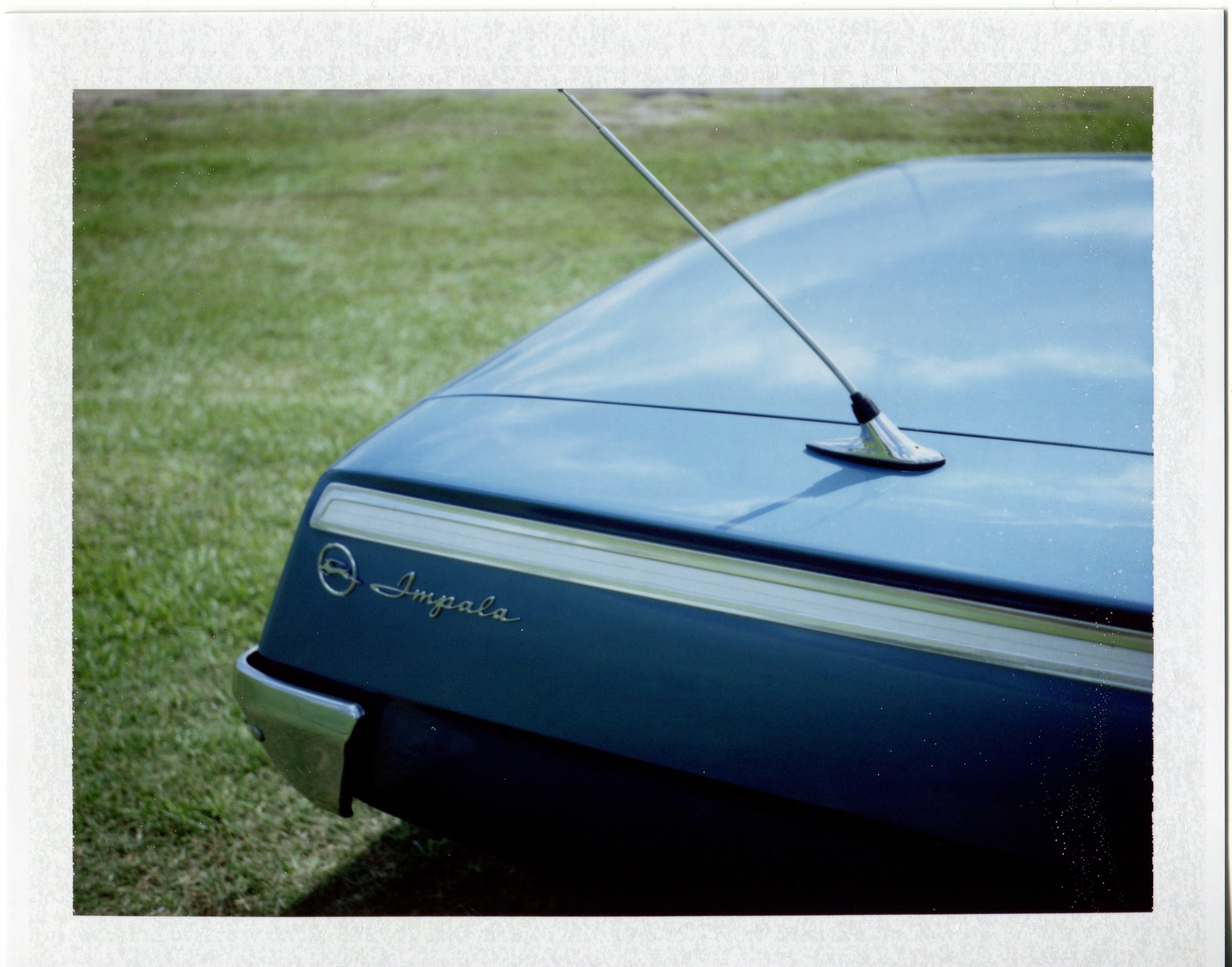 Blue Impala, Ridgeland, Miss. / Land Camera