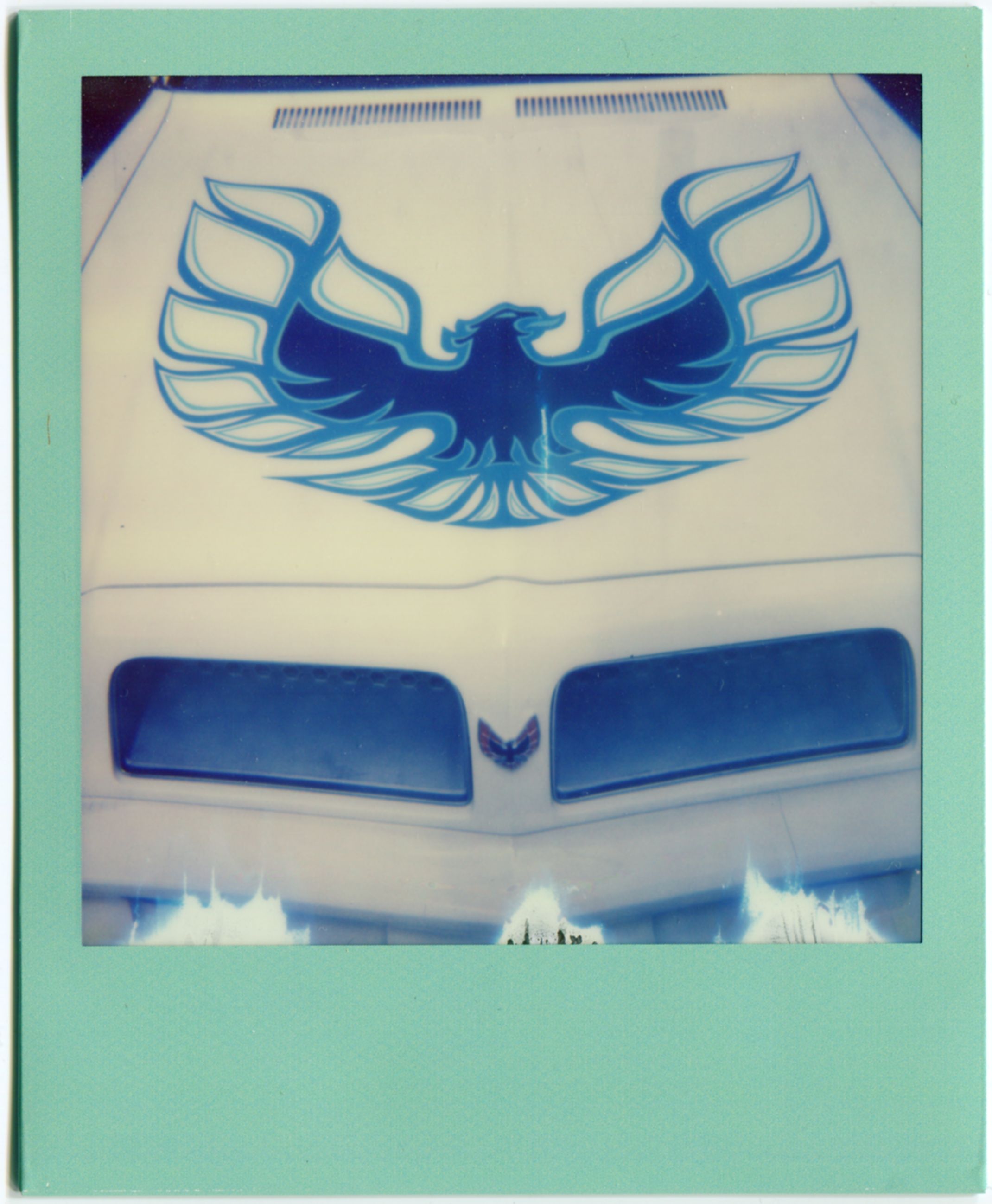 Icebird, Richland, Miss. / SX-70 with Impossible film 