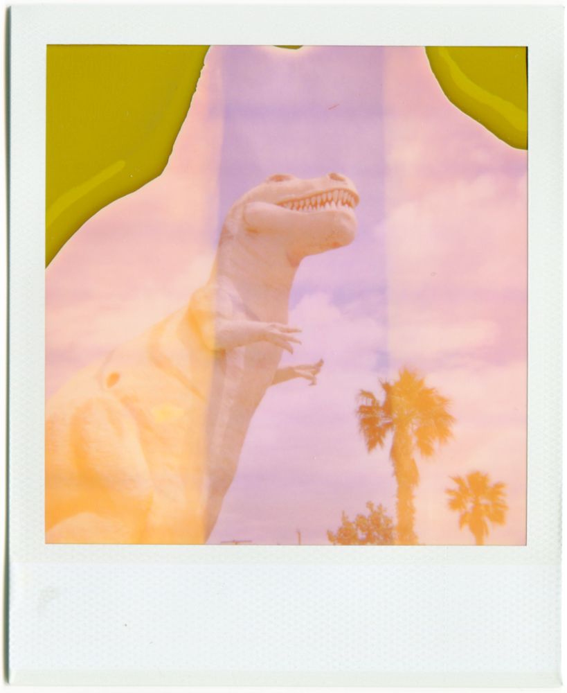 Pee-wee's Dinosaurs, California / Polaroid 600 with Expired Polaroid film