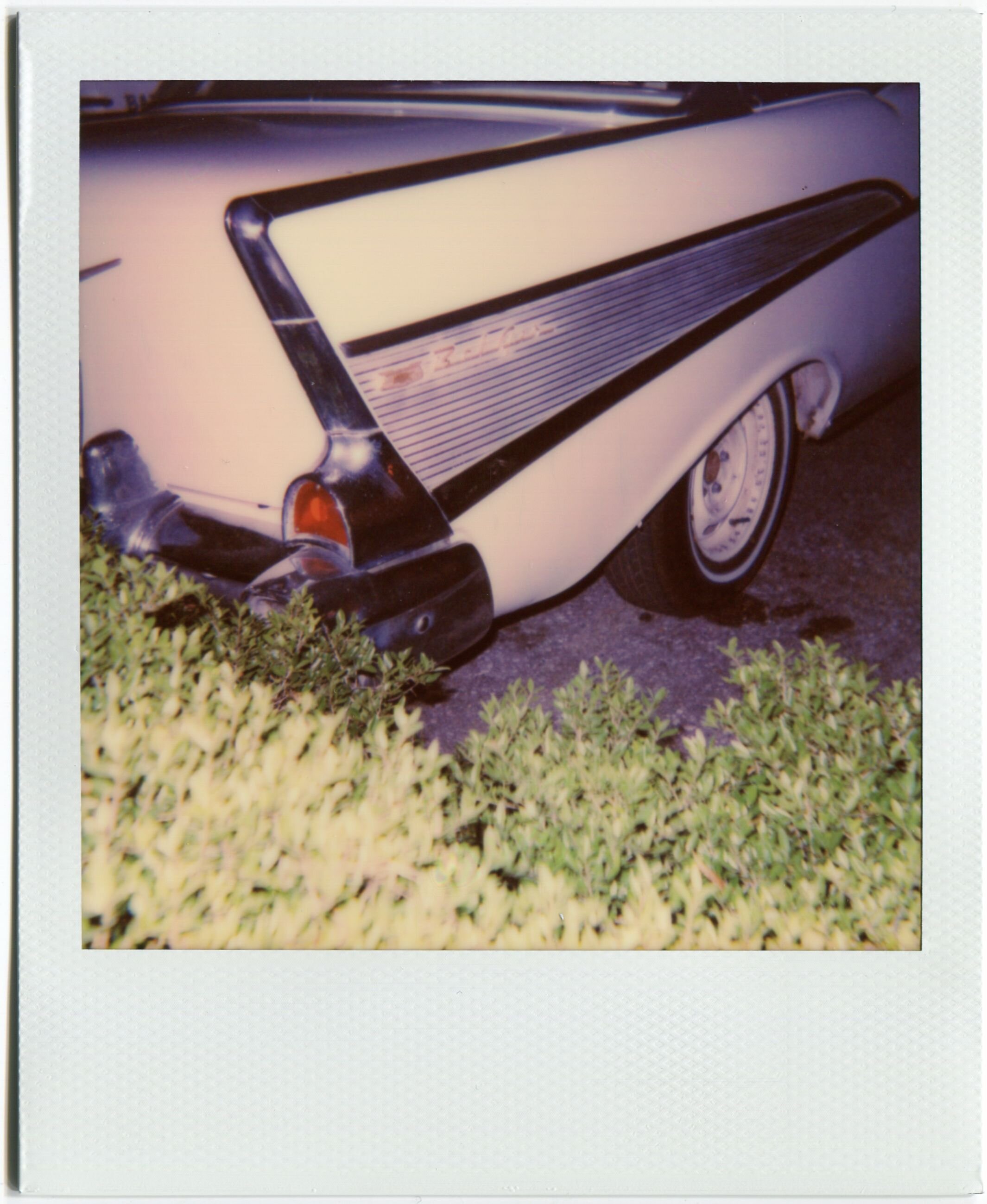 Meridian, Mississippi / Polaroid 600