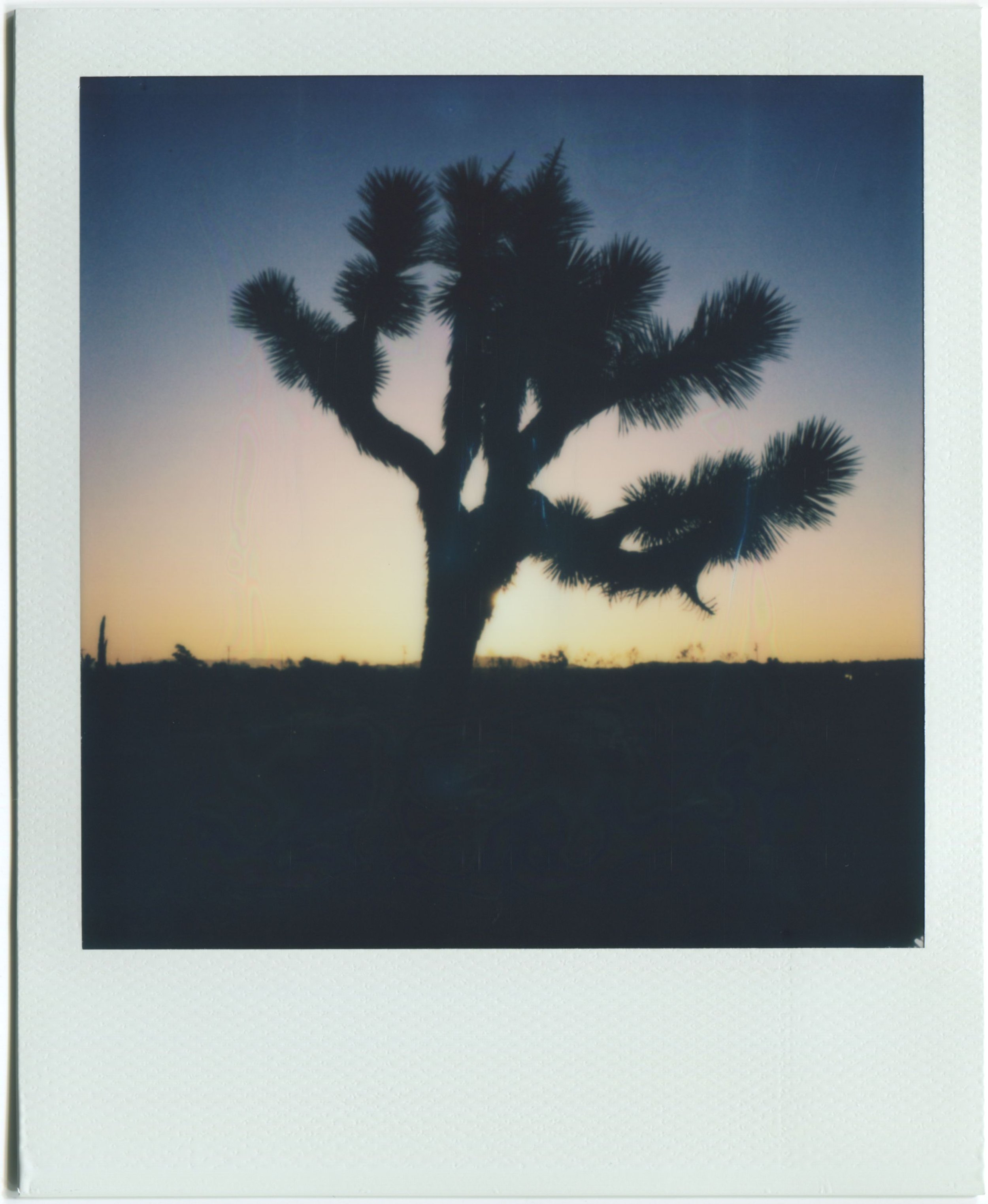 Landers, California / Polaroid SX-70